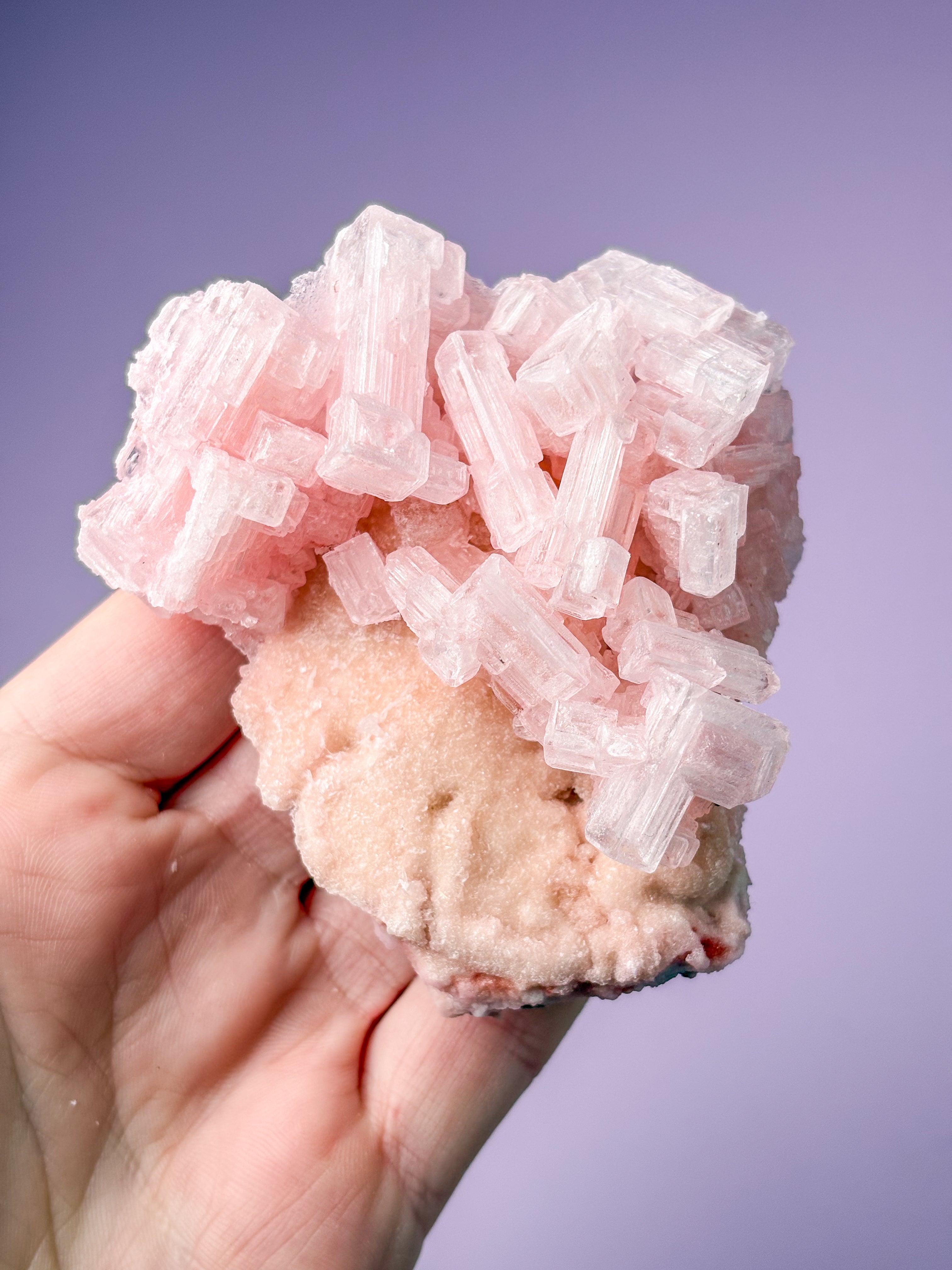 Rosa halitkluster (nr 48)