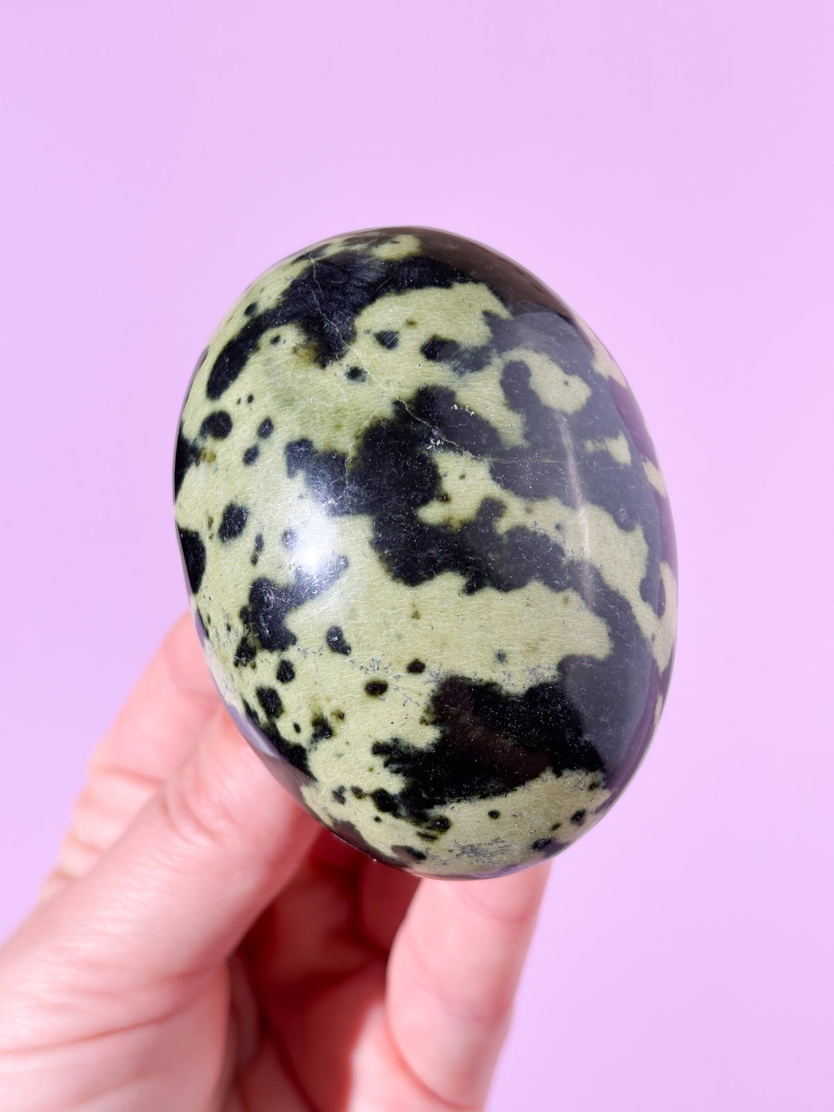 Leopard Serpentin Palmstone (Nr. 17)