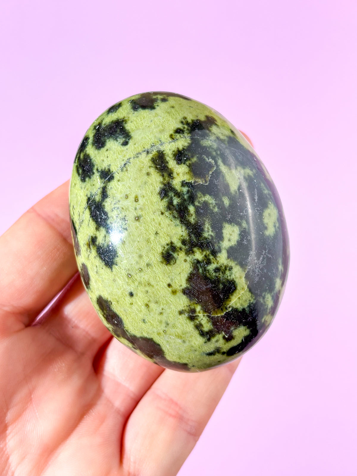 Leopard Serpentin Palmstone (Nr. 19)