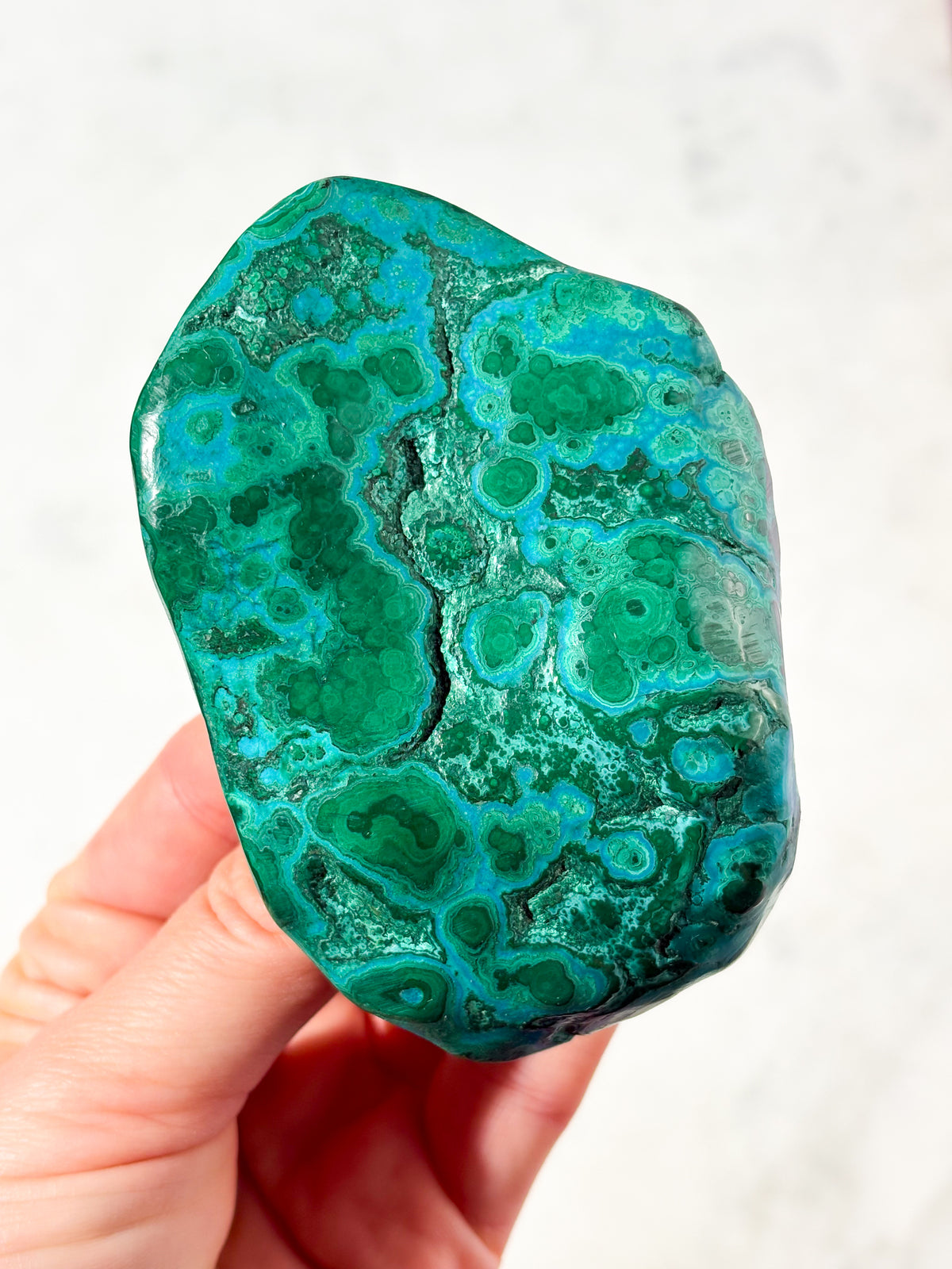 Malacolla Poleret Freeform (Nr. 3)