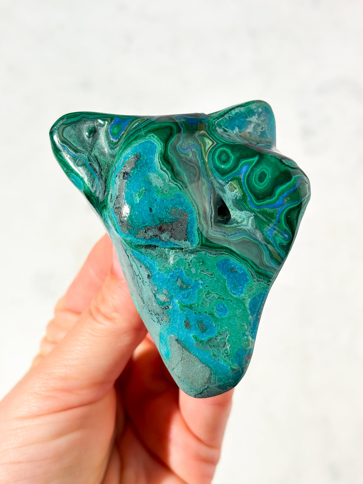 Malacolla Poleret Freeform (Nr. 4)