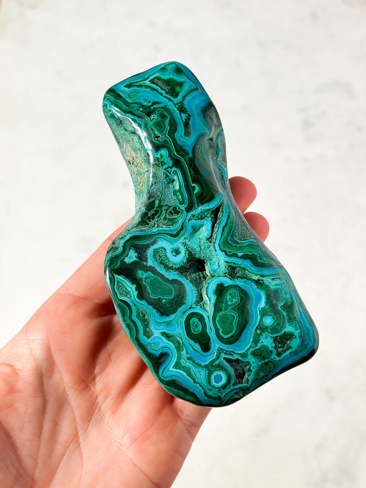 Malacolla Poleret Freeform (Nr. 5)