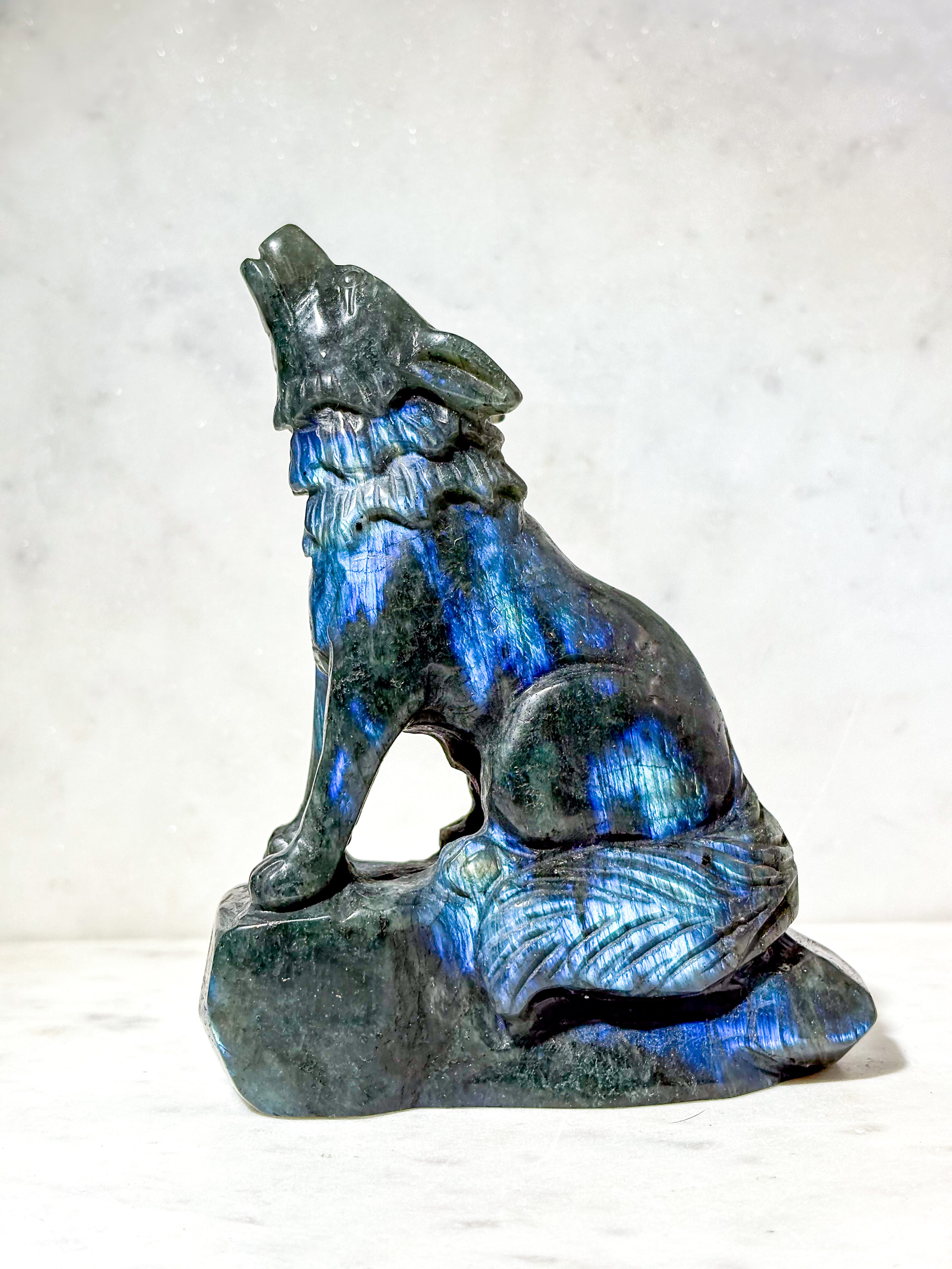 Labradorit Ulv (Nr. 1)