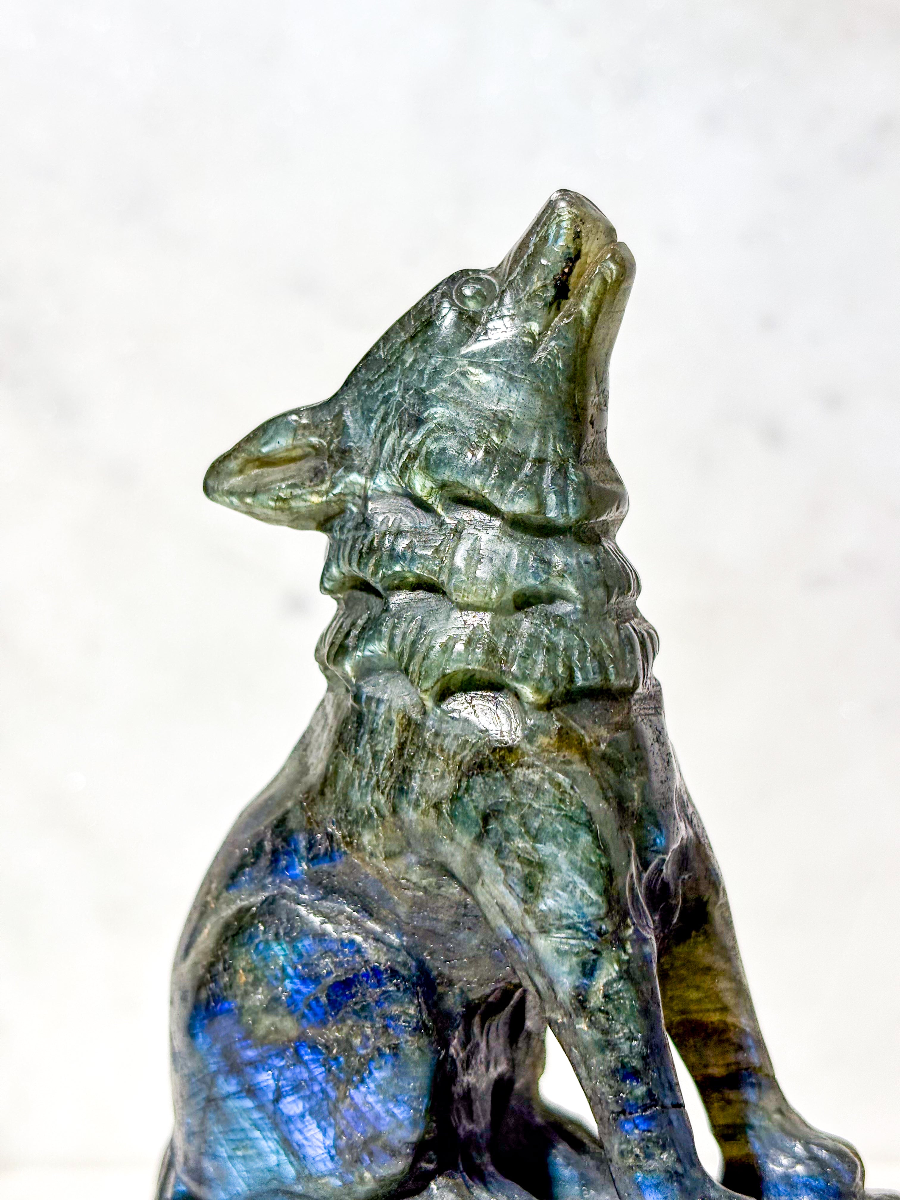 Labradorit Ulv (Nr. 3)