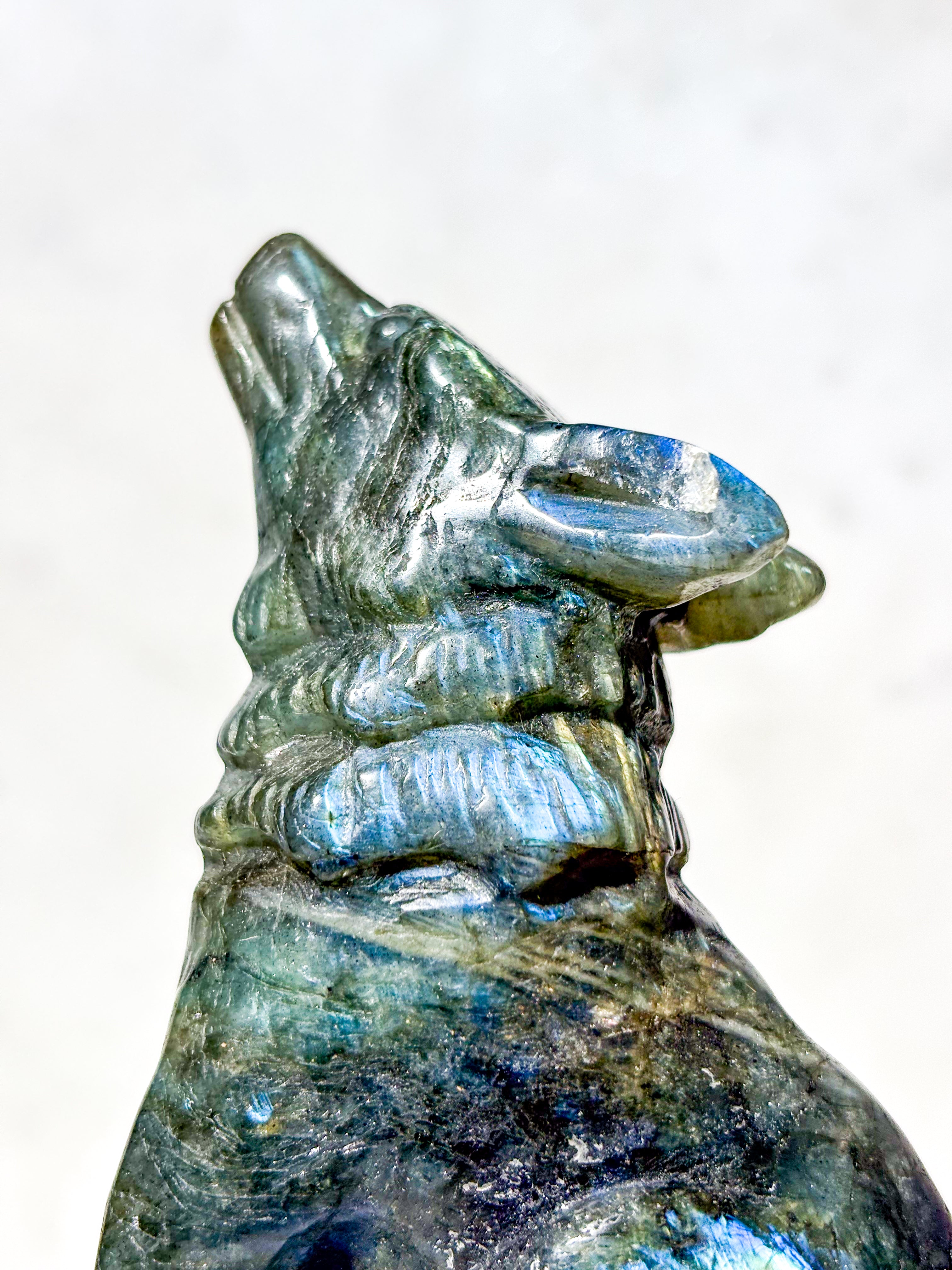 Labradorit Ulv (Nr. 3)