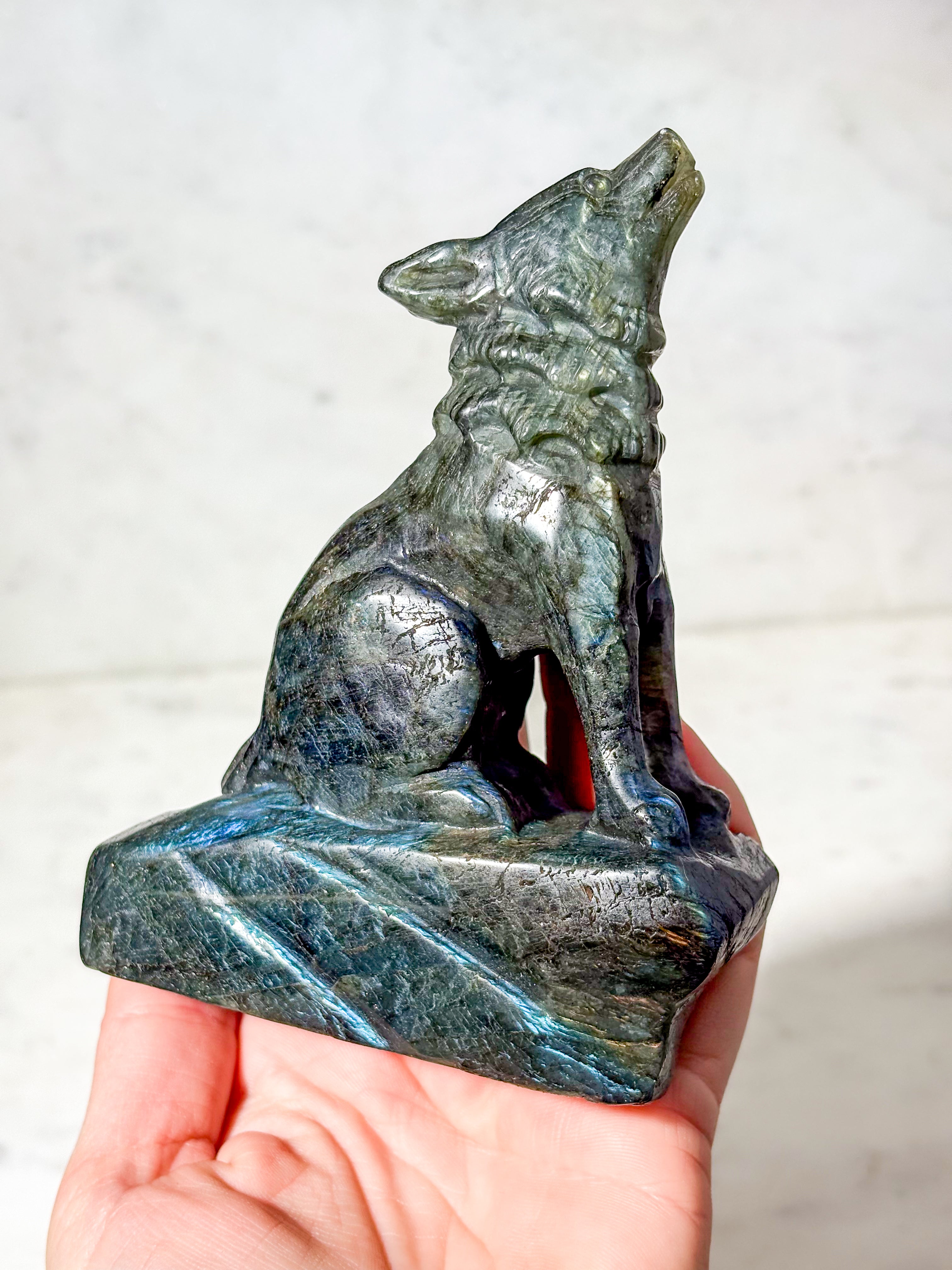 Labradorit Ulv (Nr. 3)