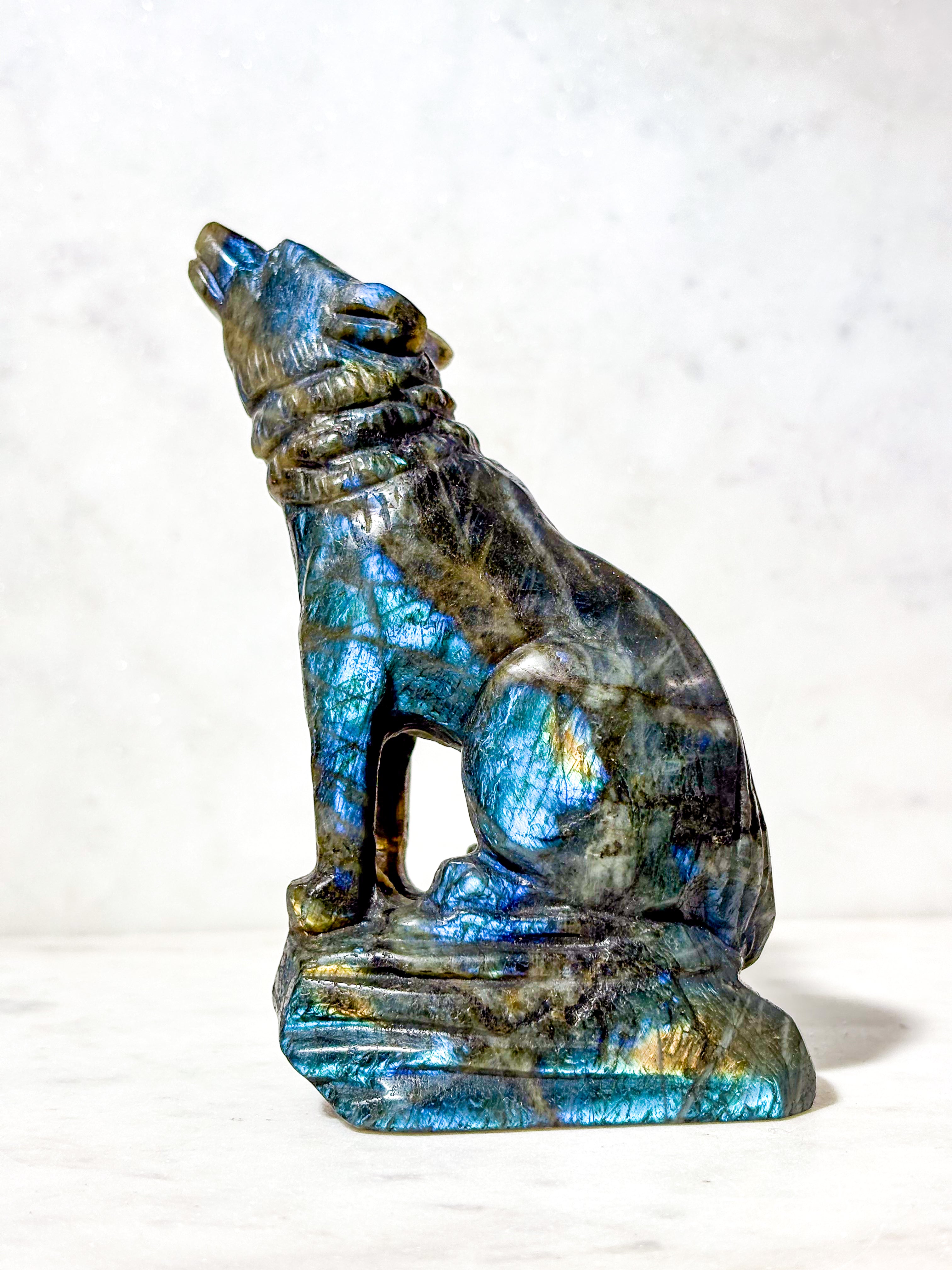 Labradorit Ulv (Nr. 4)