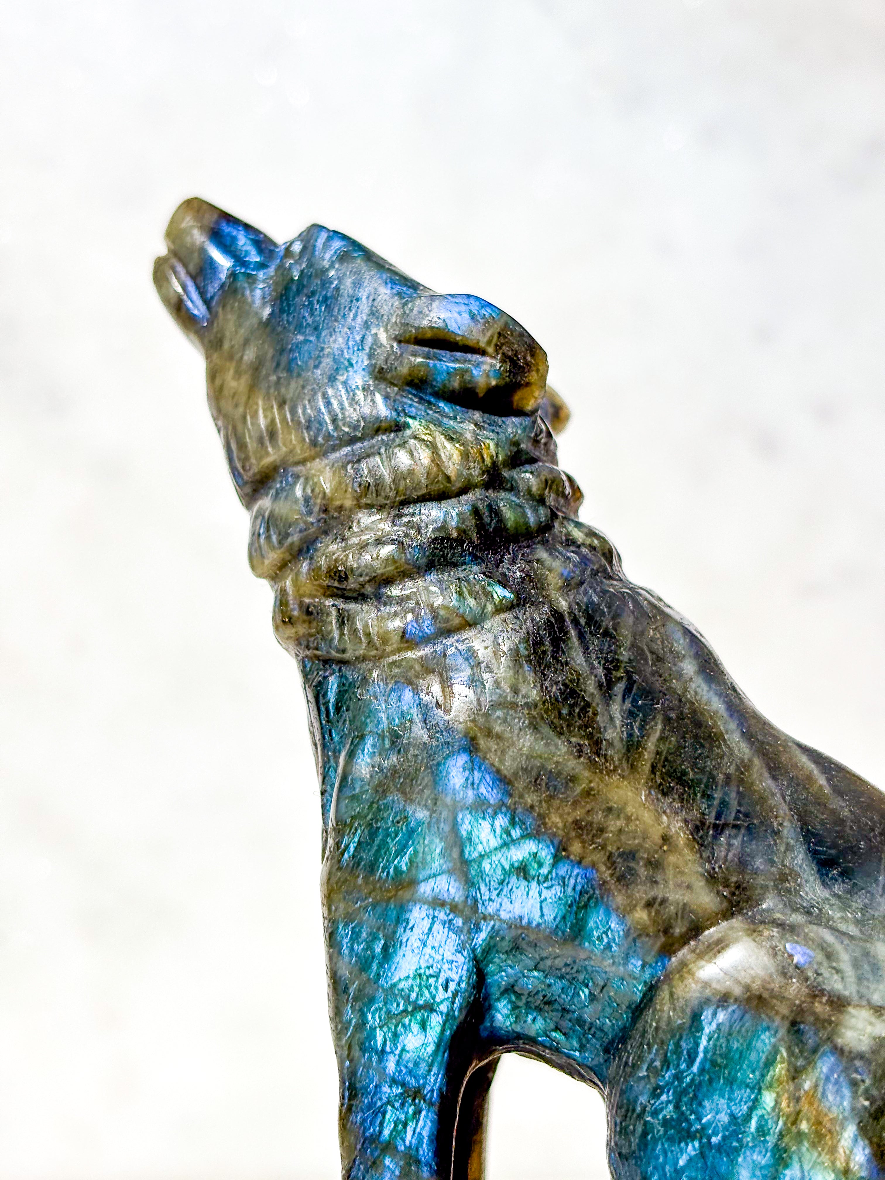 Labradorit Ulv (Nr. 4)