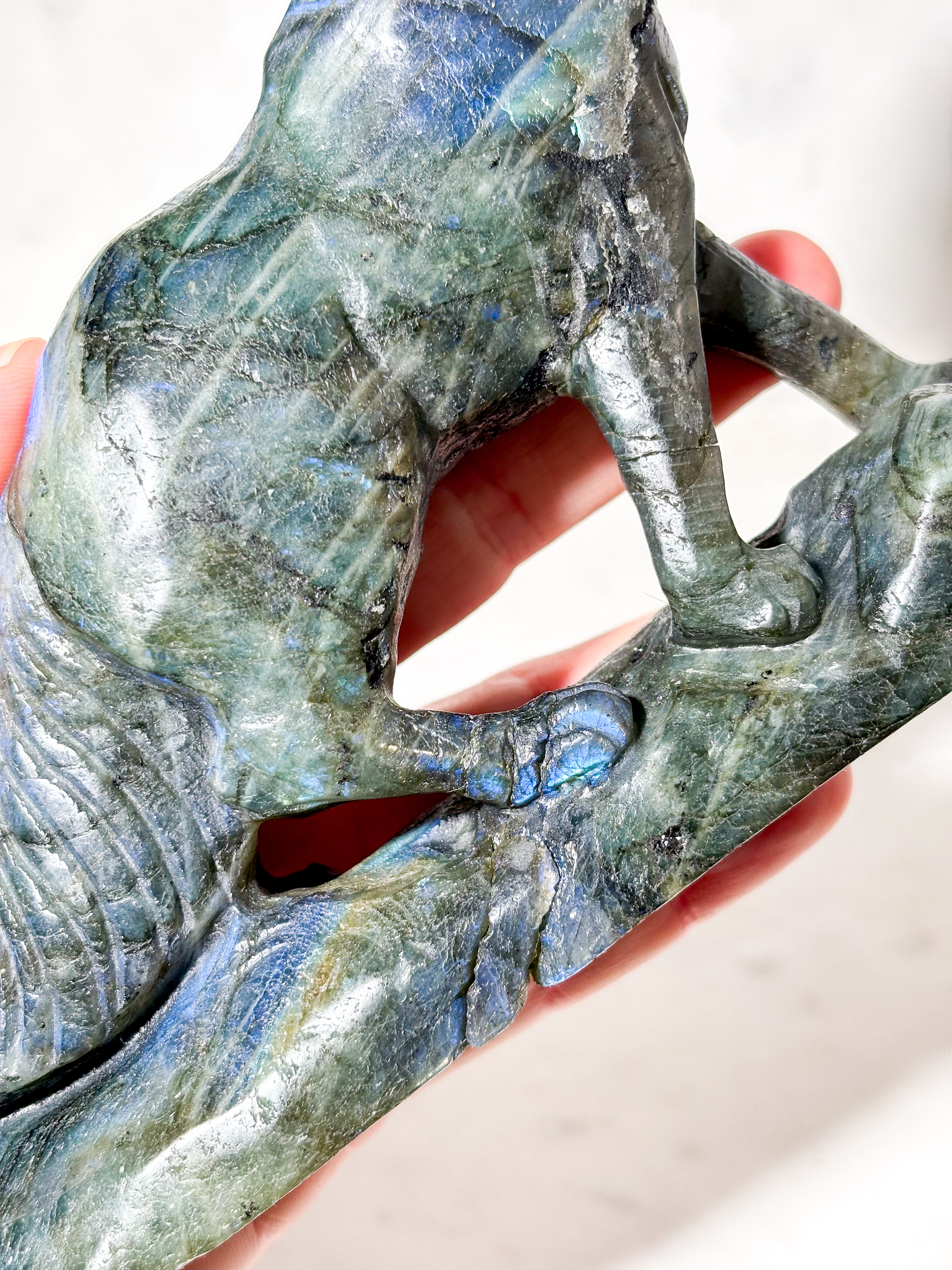 Labradorit Ulv (Nr. 6)