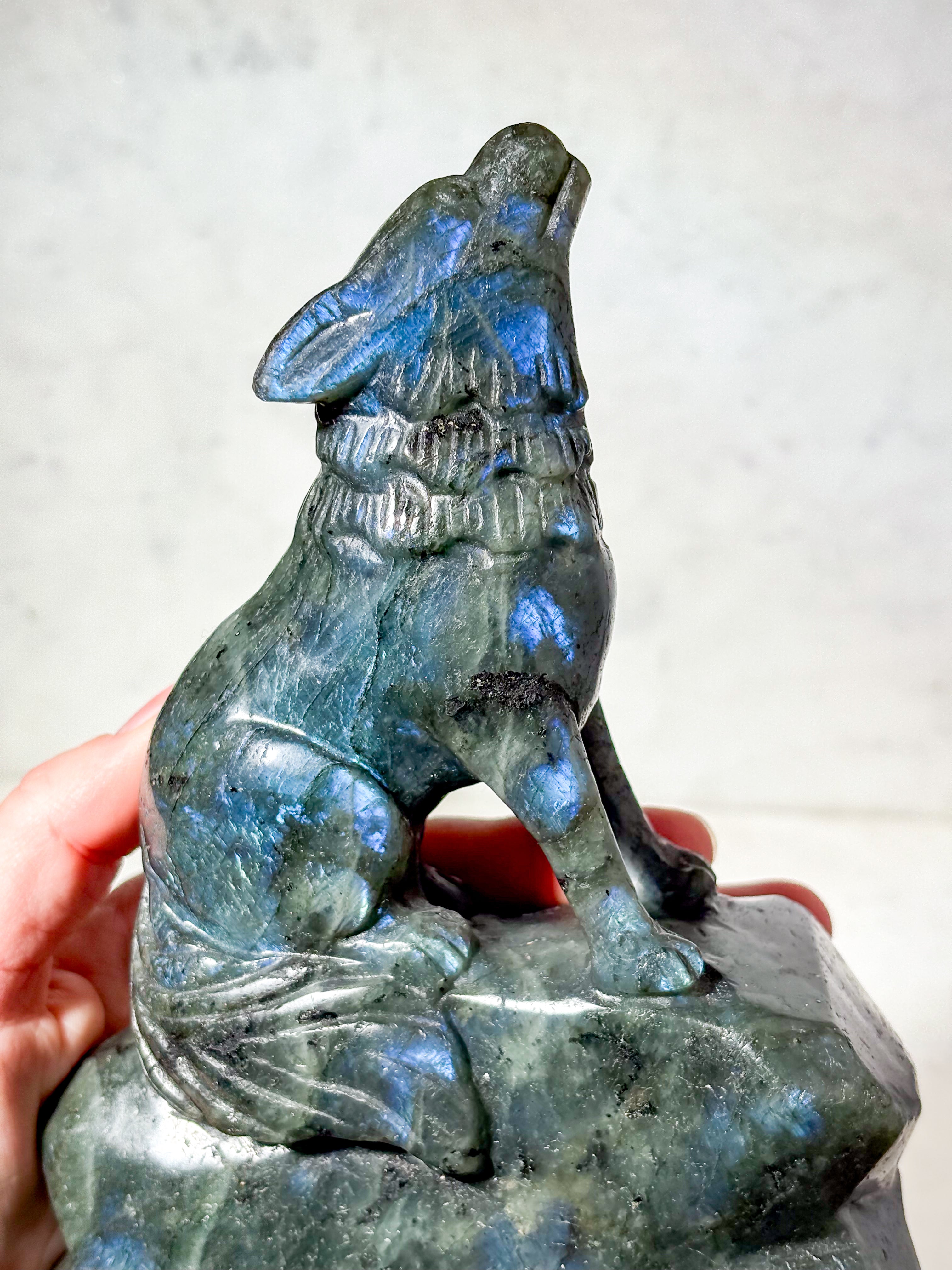 Labradorit Ulv (Nr. 7)