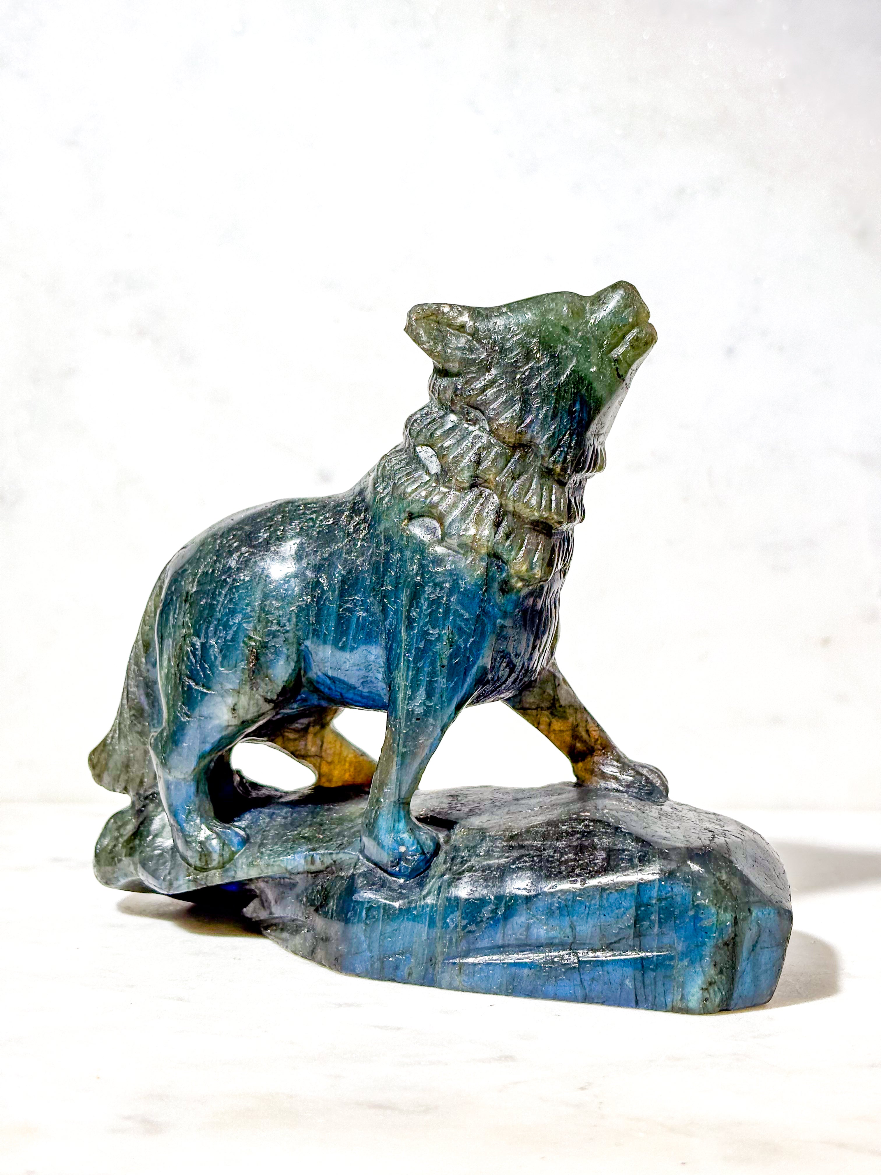 Labradorit Ulv (Nr. 8)