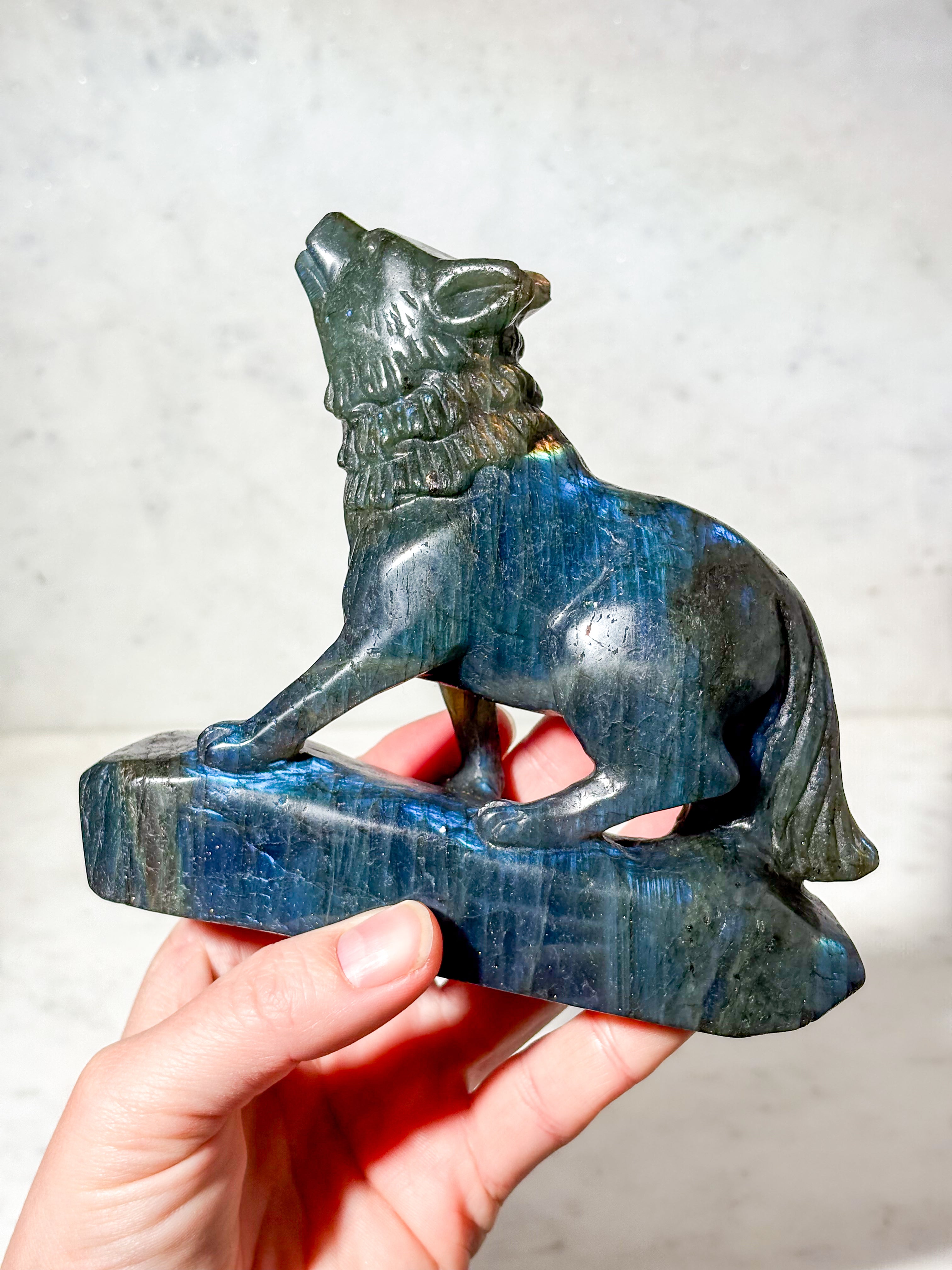 Labradorit Ulv (Nr. 8)