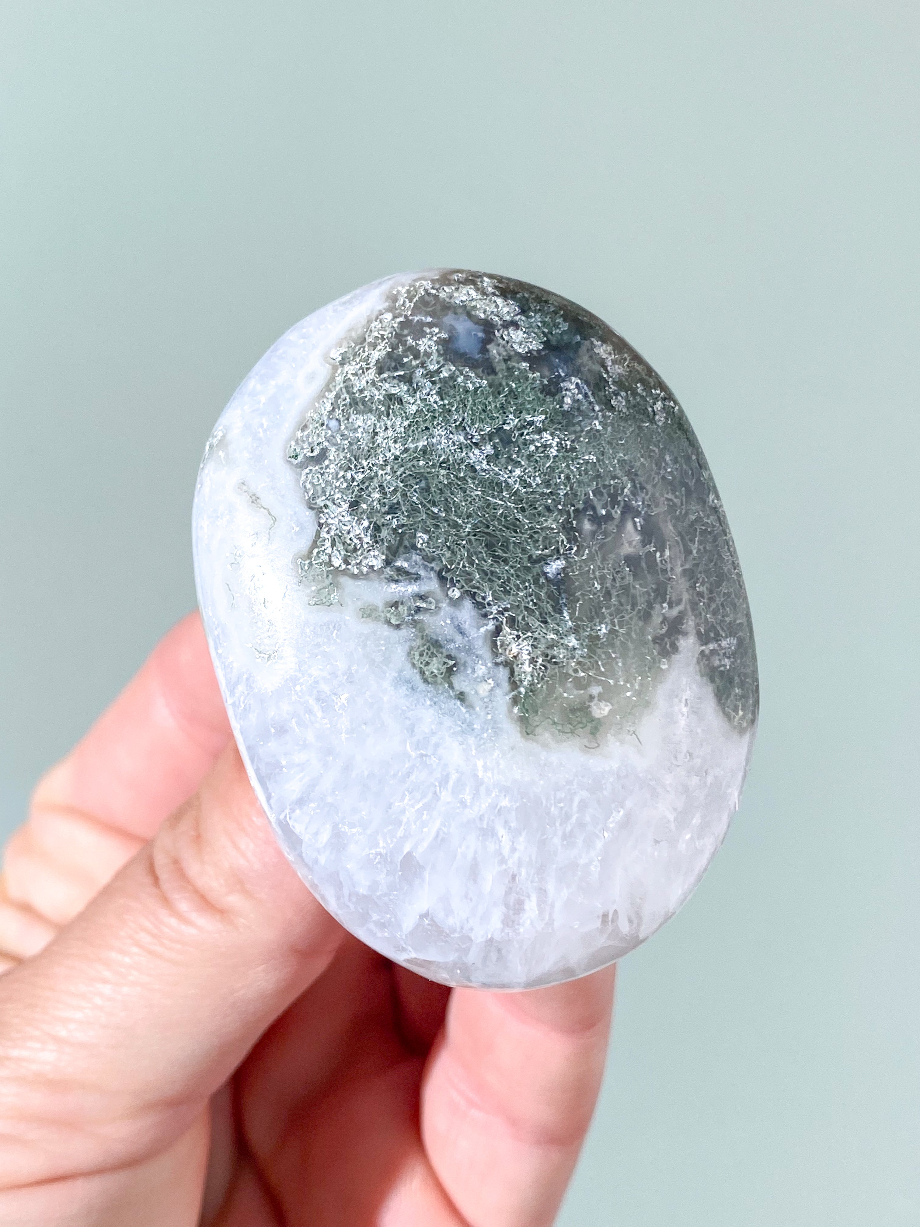 Mos Agat Palmstone (Nr. 11)