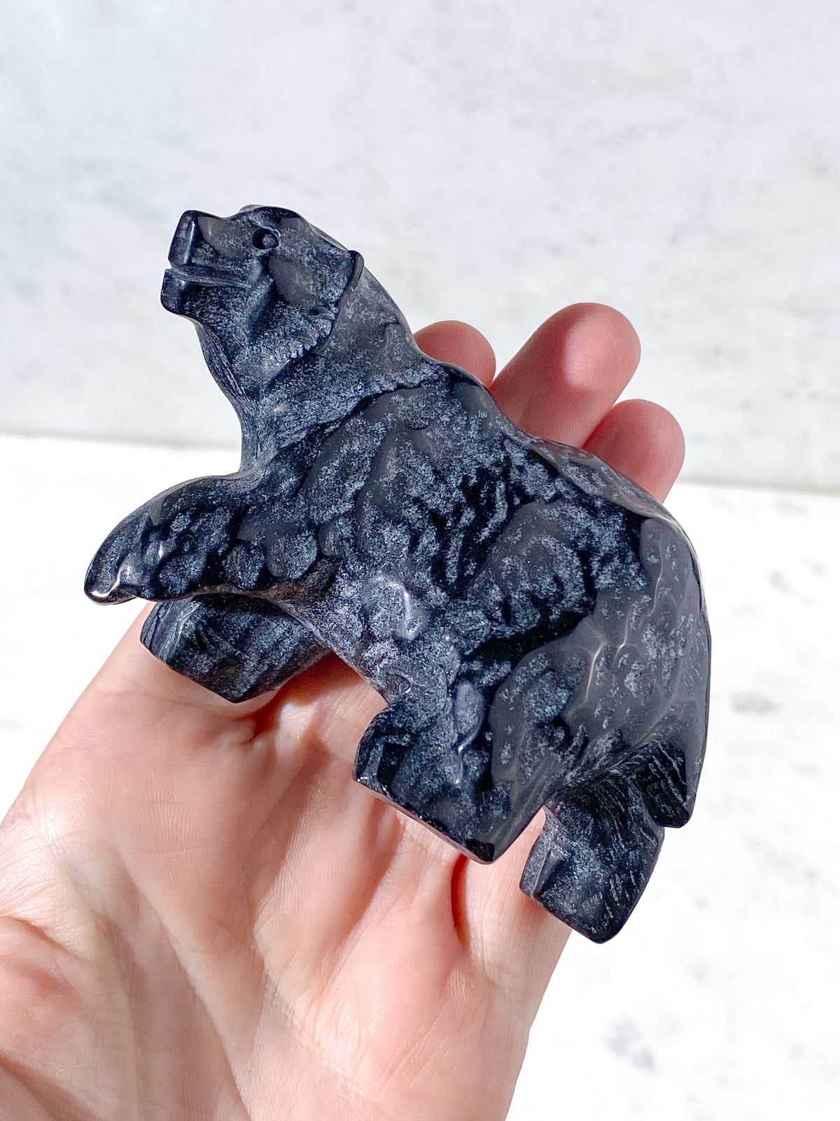 Sort Obsidian Bjørn