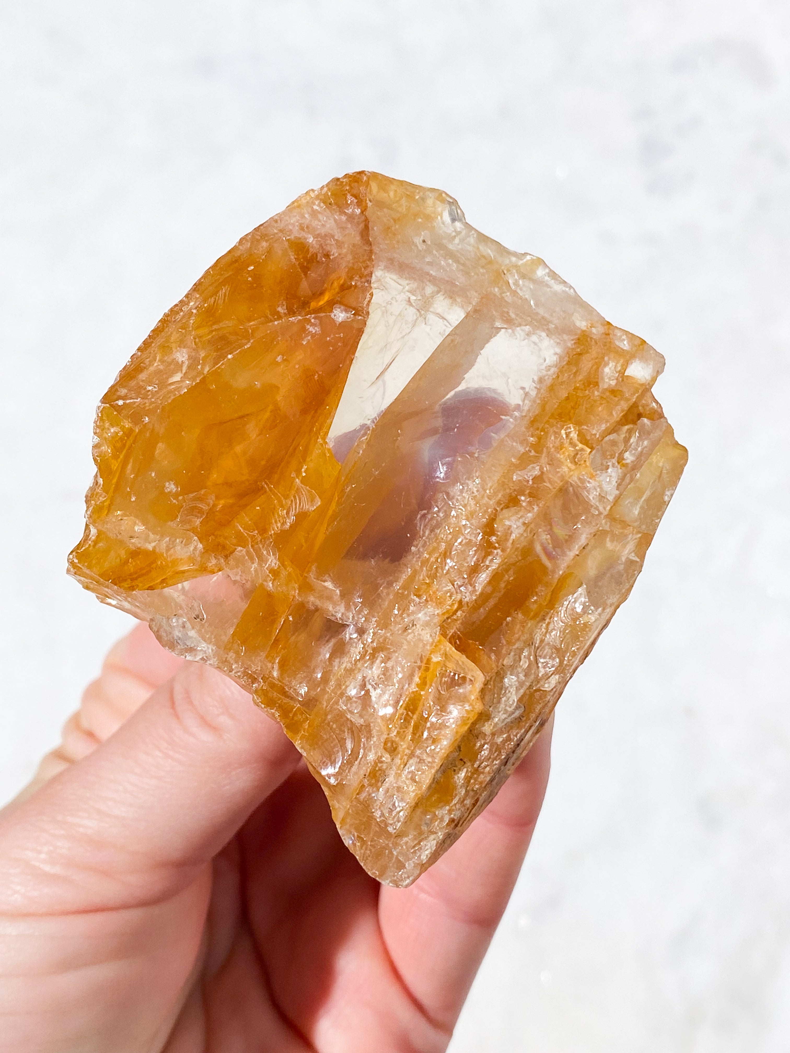 Golden Healer Rå (Nr. 4)