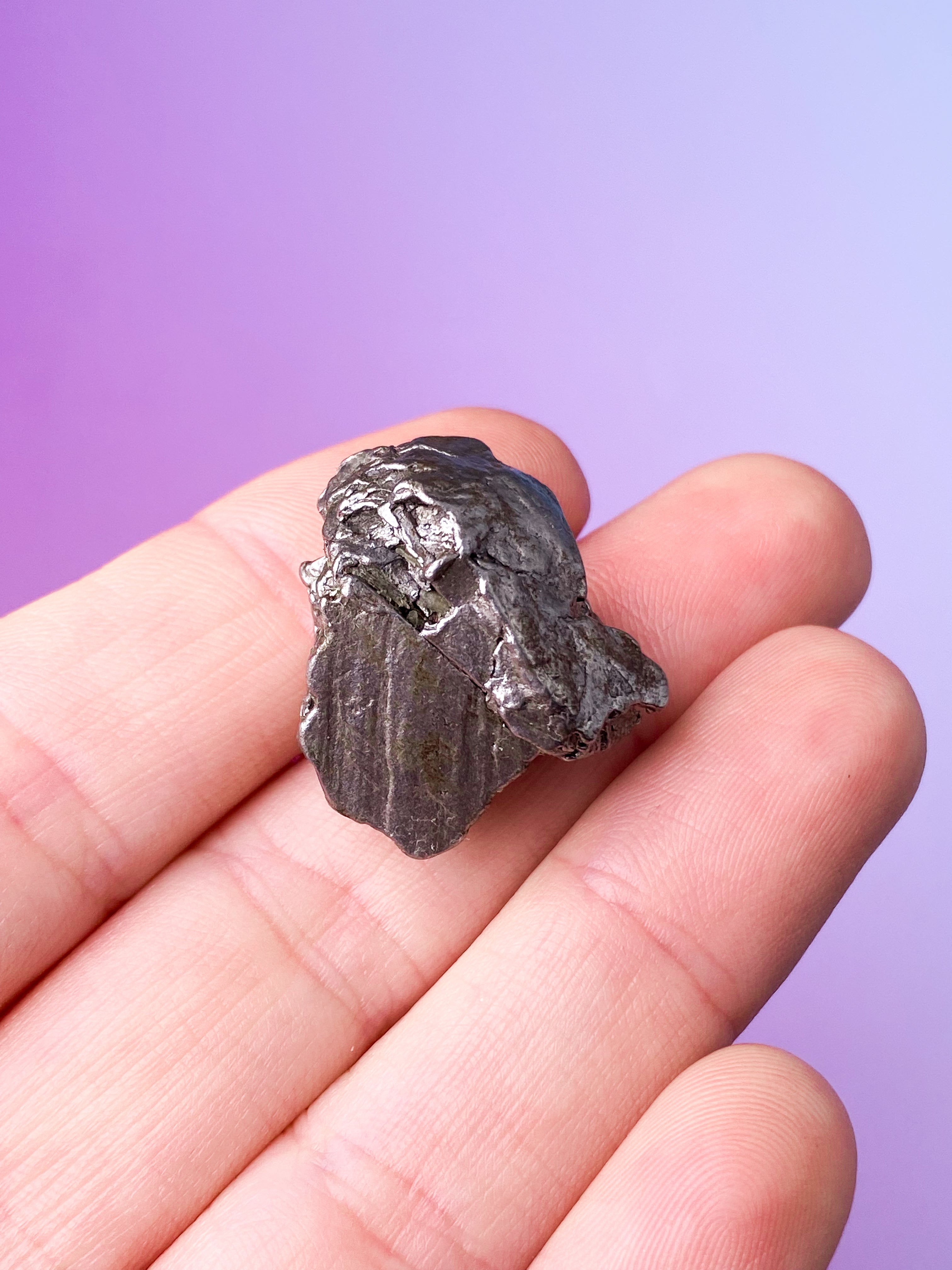 Meteorit - Campo Del Cielo (Nr. 8)