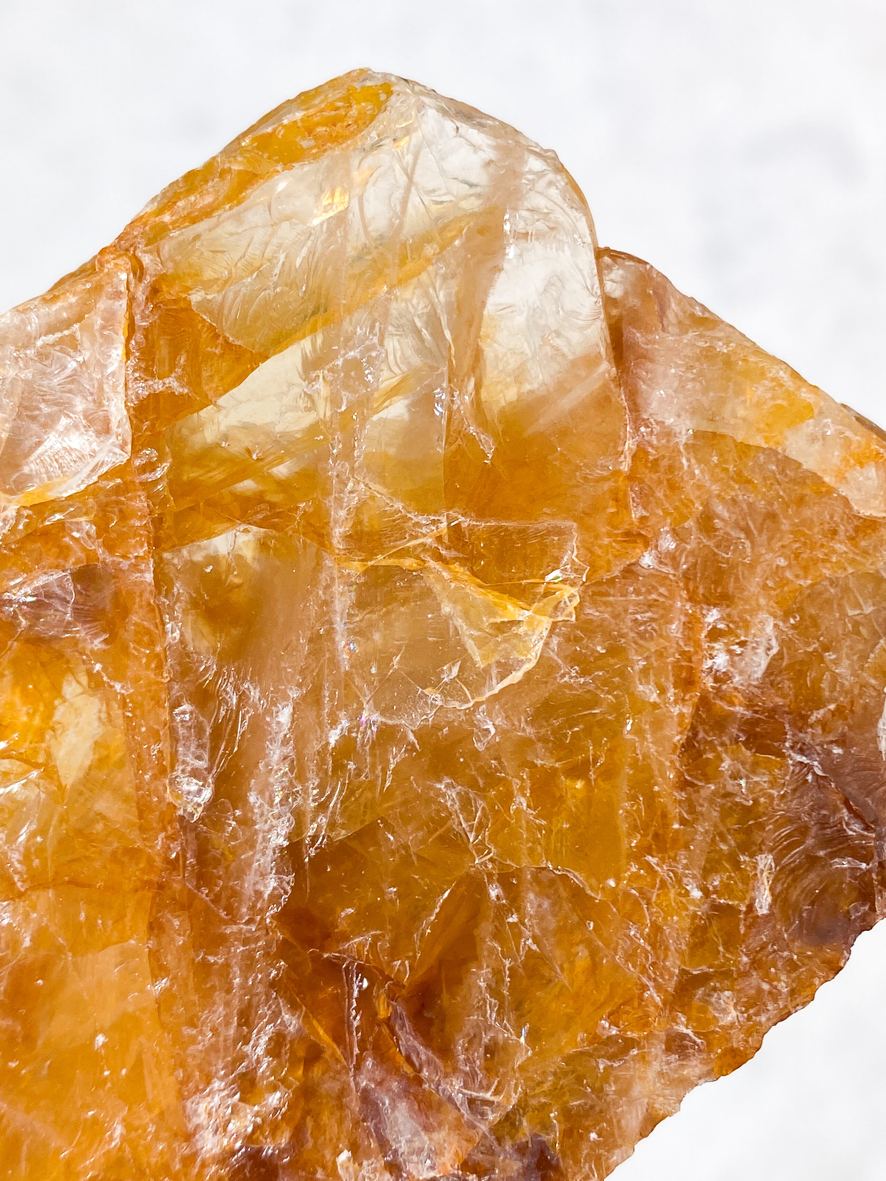 Golden Healer Rå (Nr. 8)