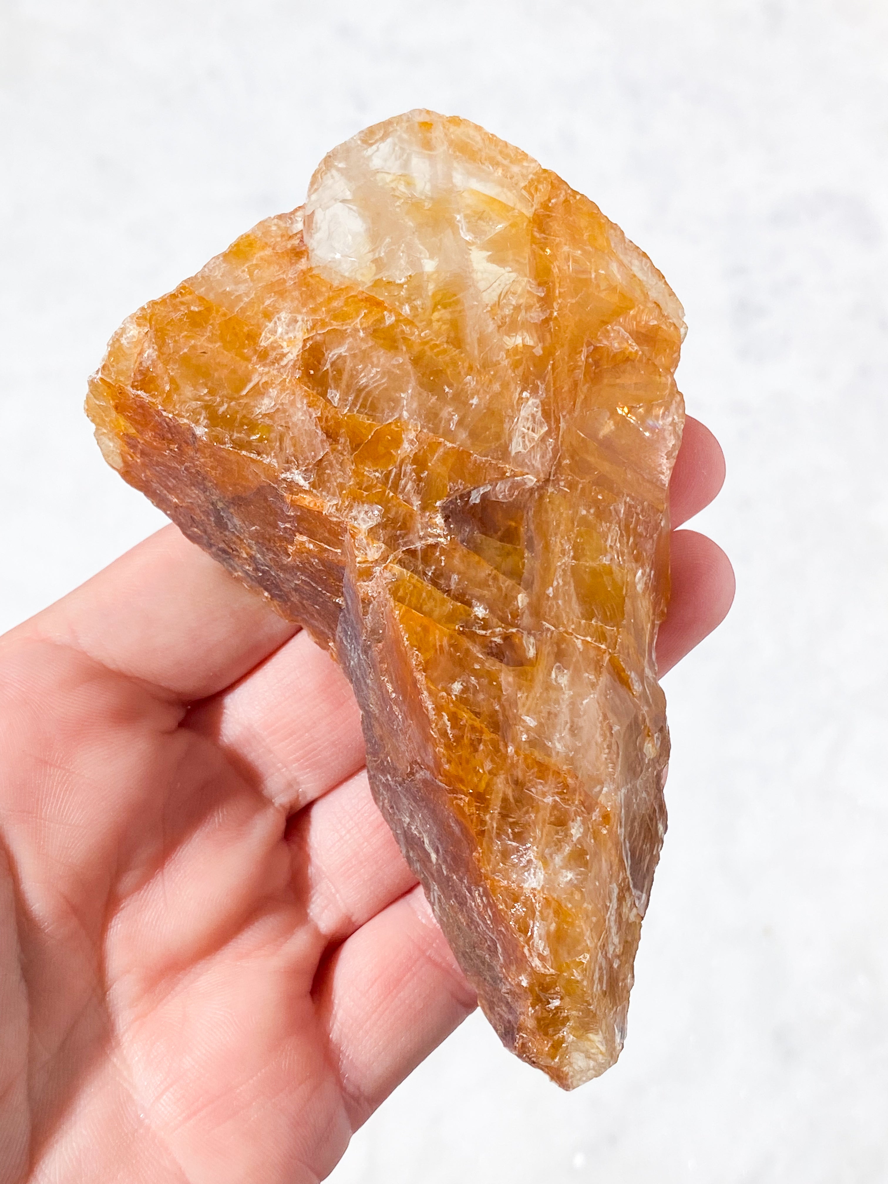 Golden Healer Rå (Nr. 8)