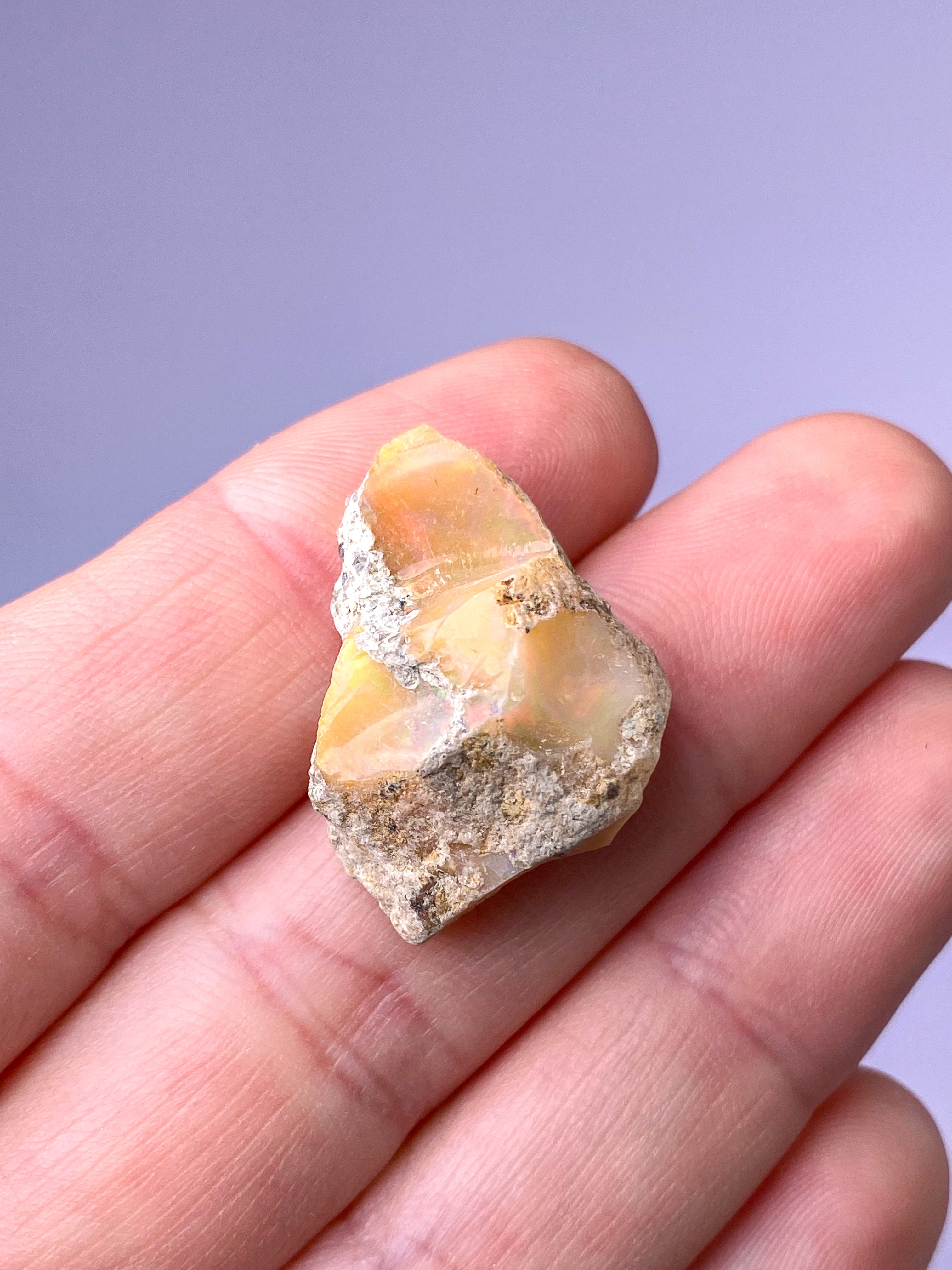 Etiopisk Opal (Nr. 11)