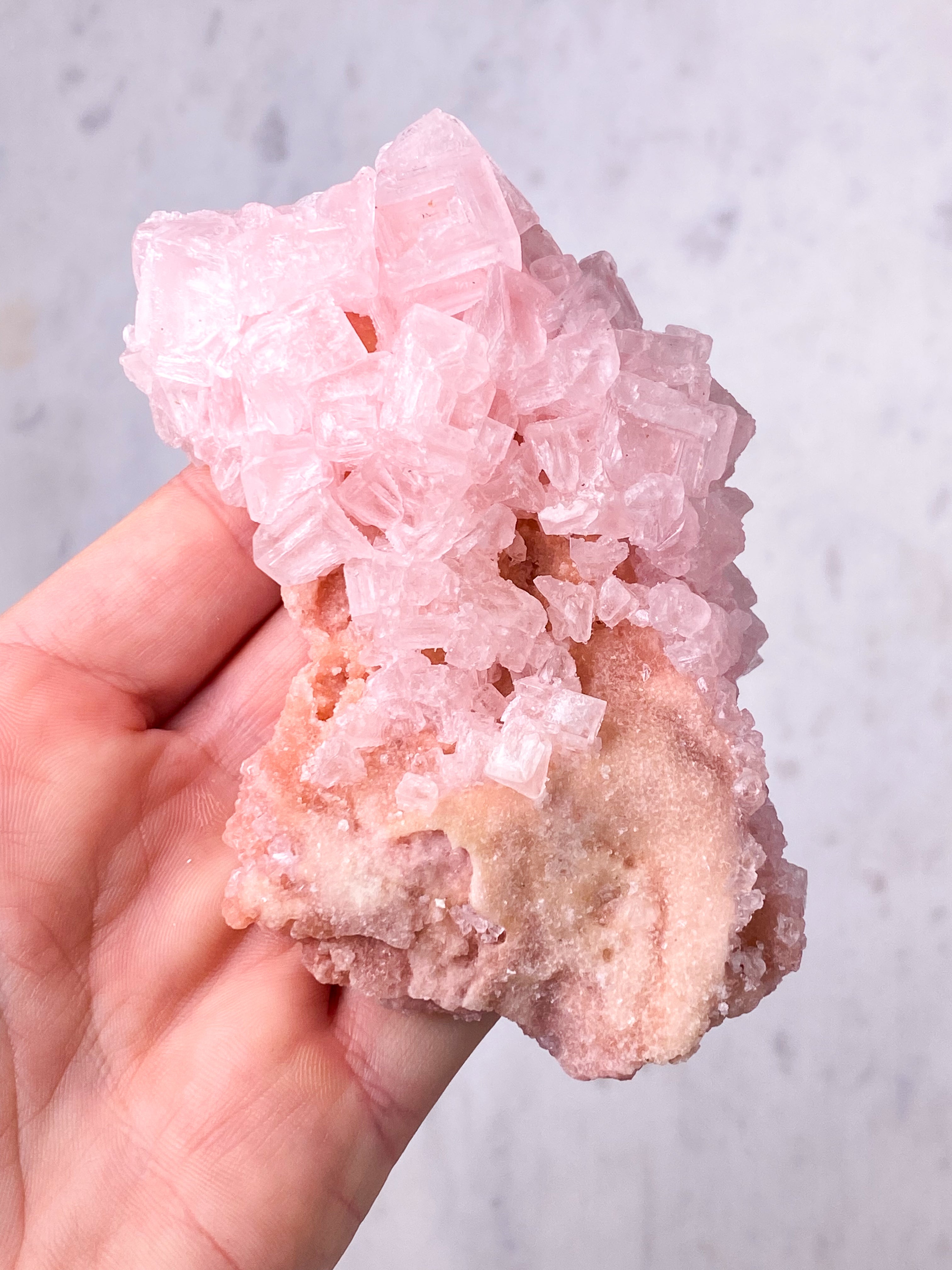 Pink Halit (Nr. 3) Eksklusiv Kvalitet