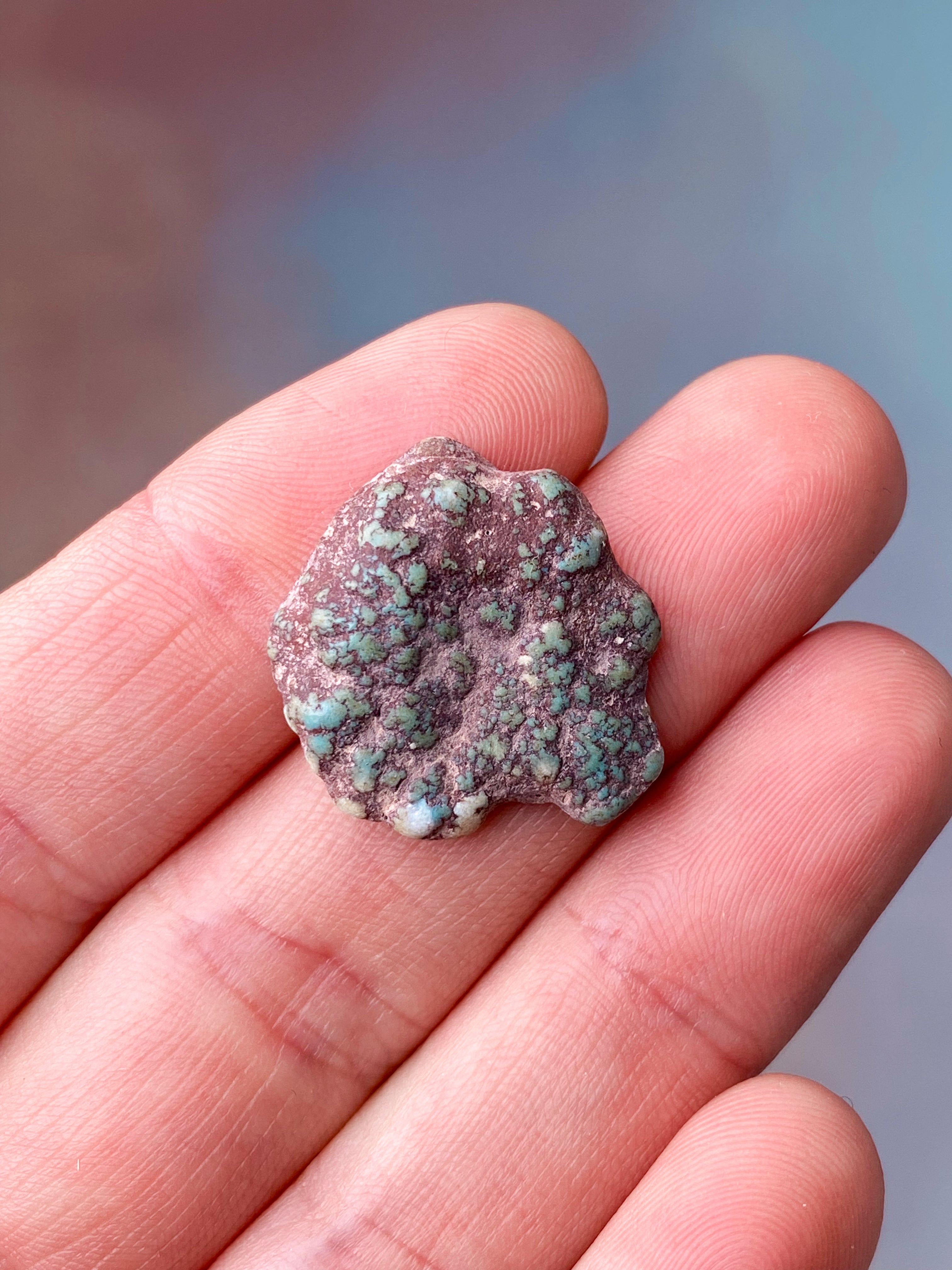 Turkis Fra Kazakstan (Nr. 1)