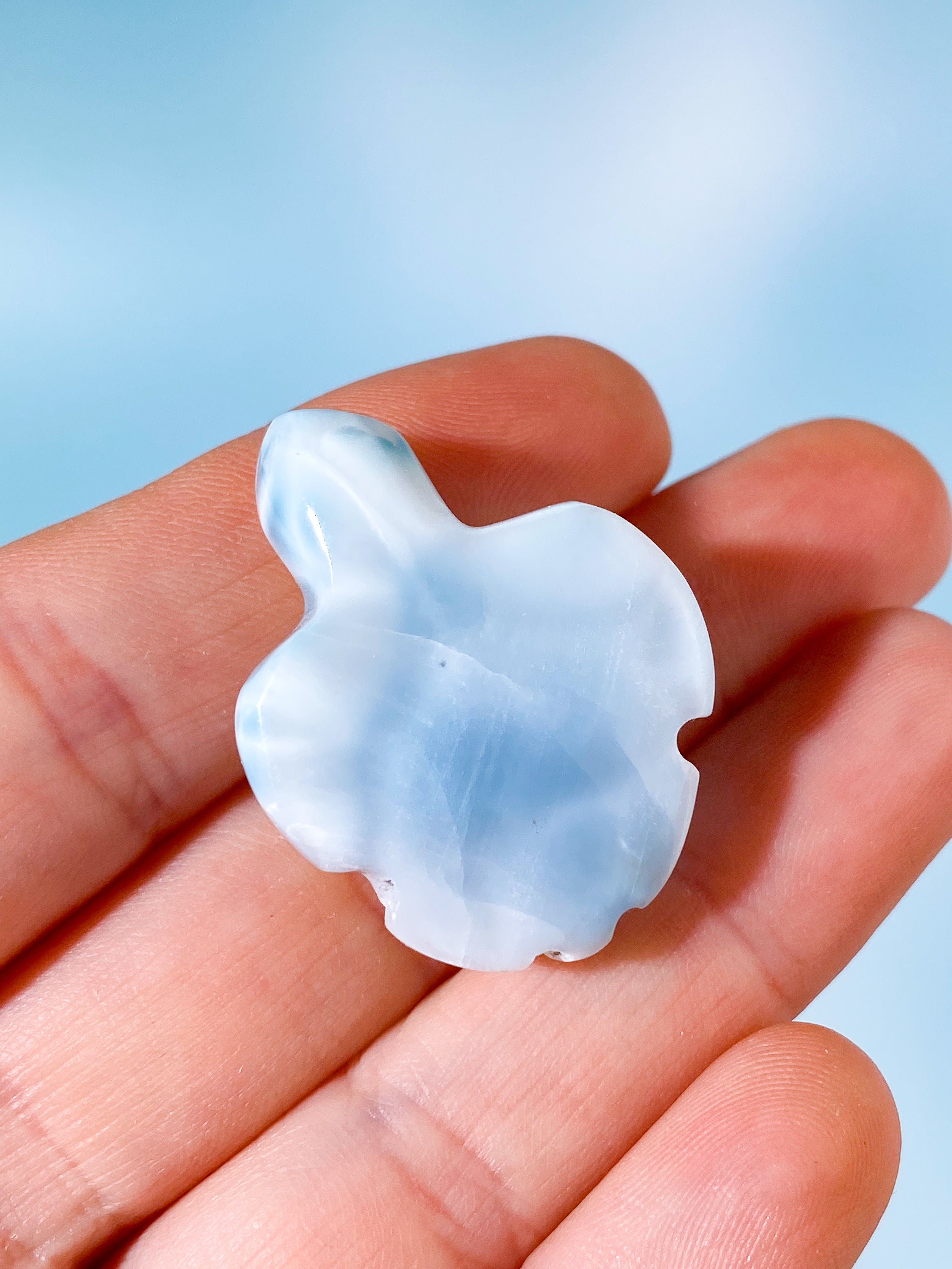 Larimar Skildpadde (Nr. 1)