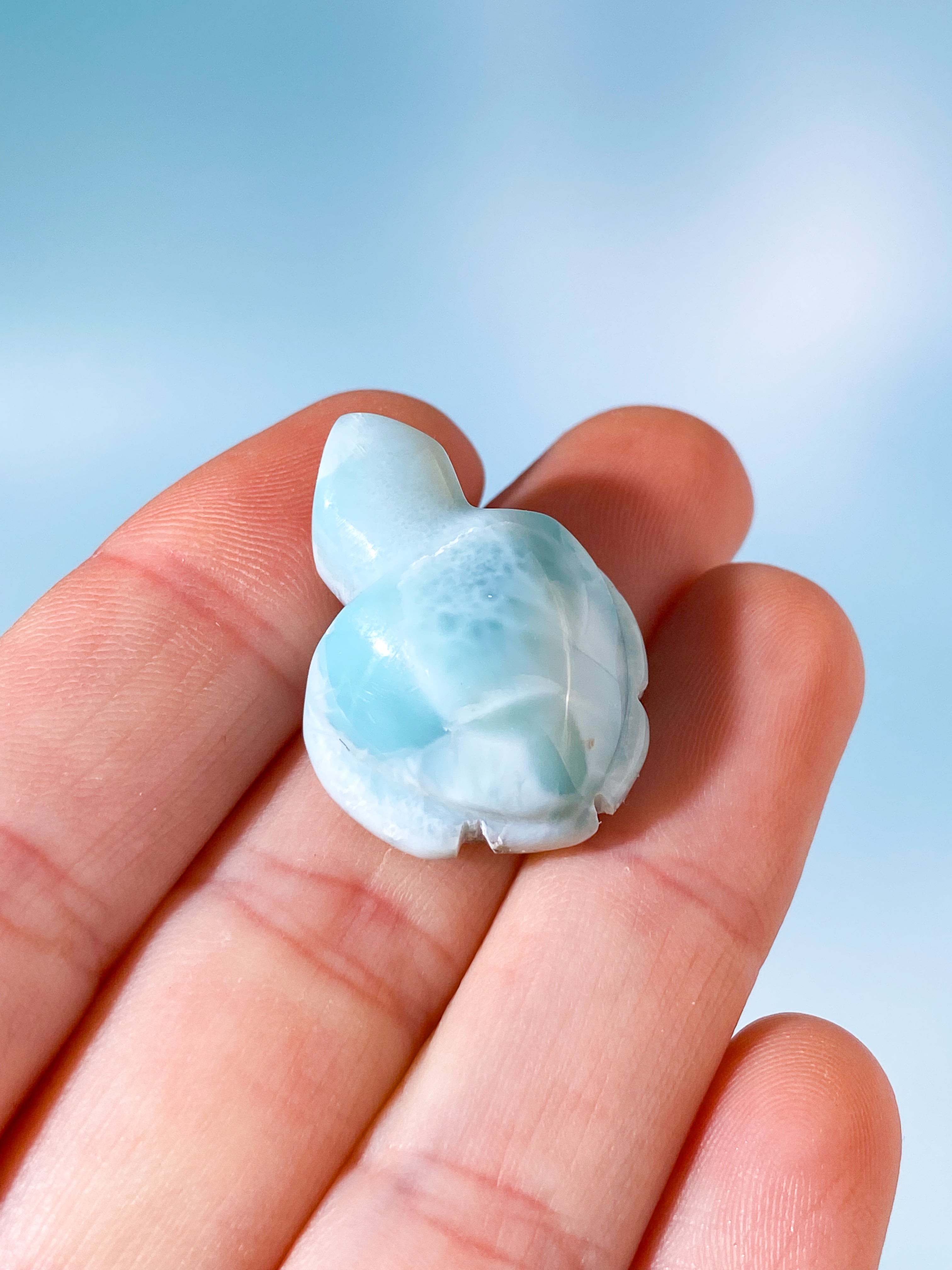 Larimar Skildpadde (Nr. 3)