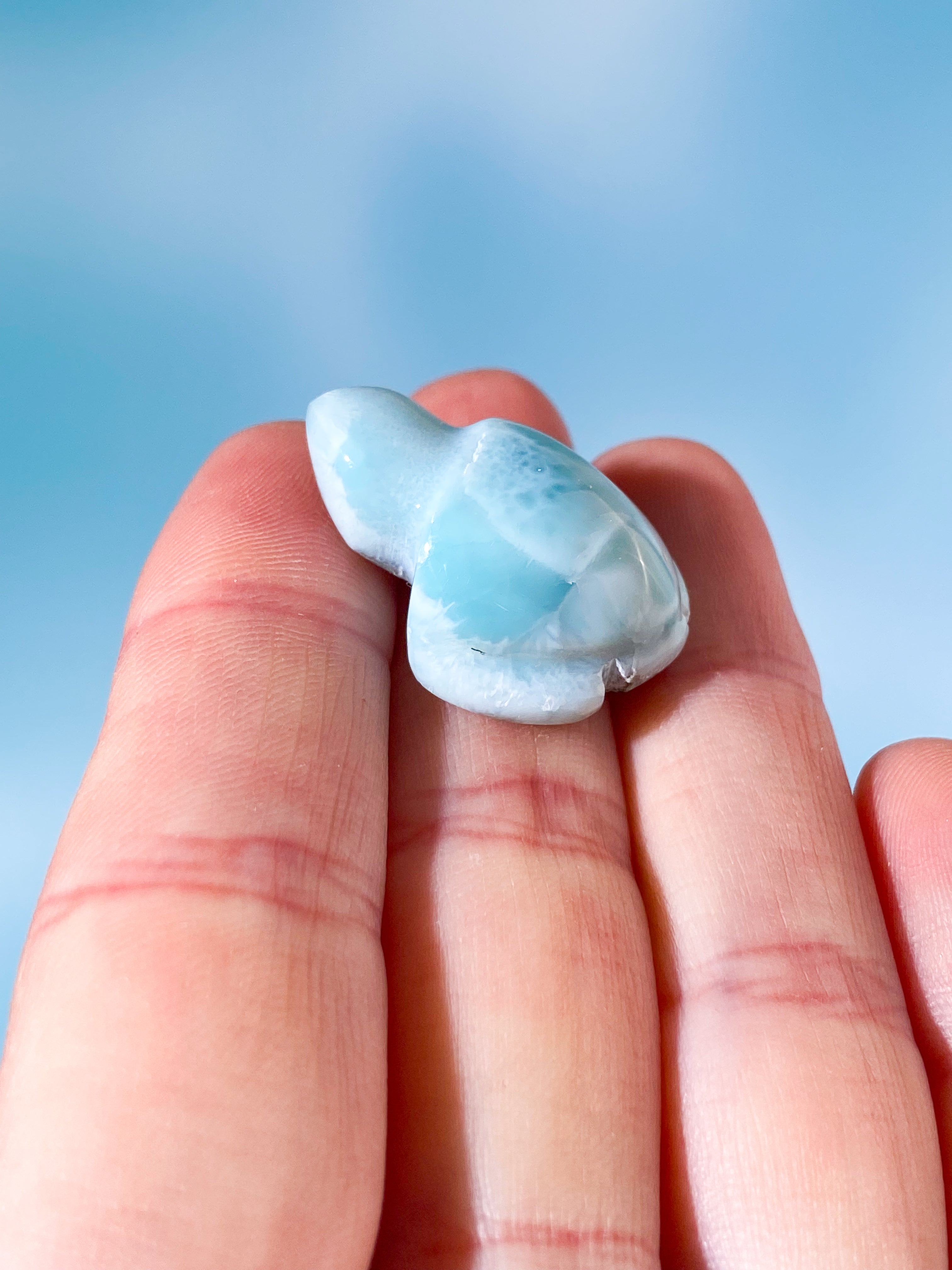 Larimar Skildpadde (Nr. 3)