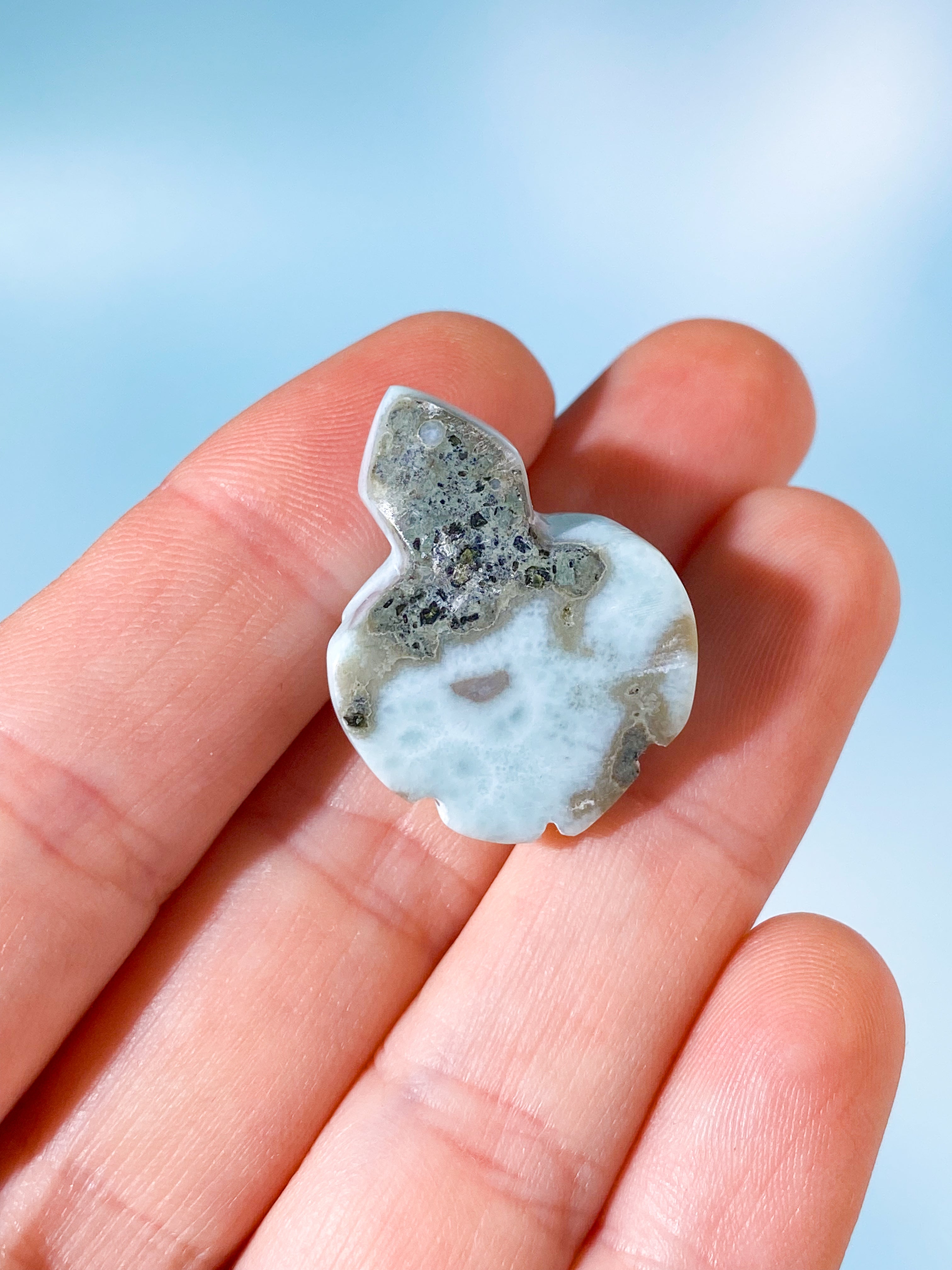 Larimar Skildpadde (Nr. 3)