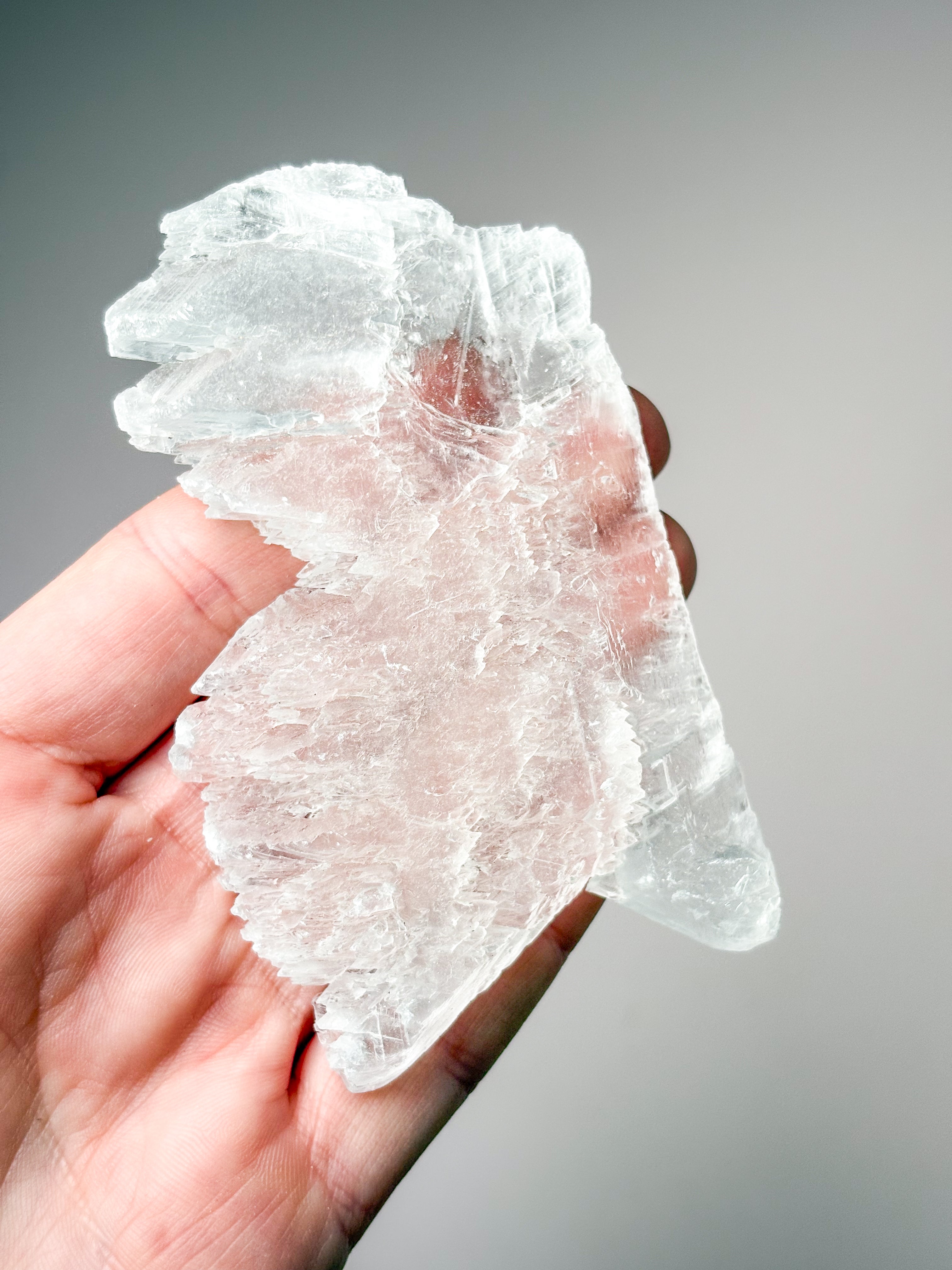 Fishtail/Angels Wing Selenite (No. 14) Exclusive Quality