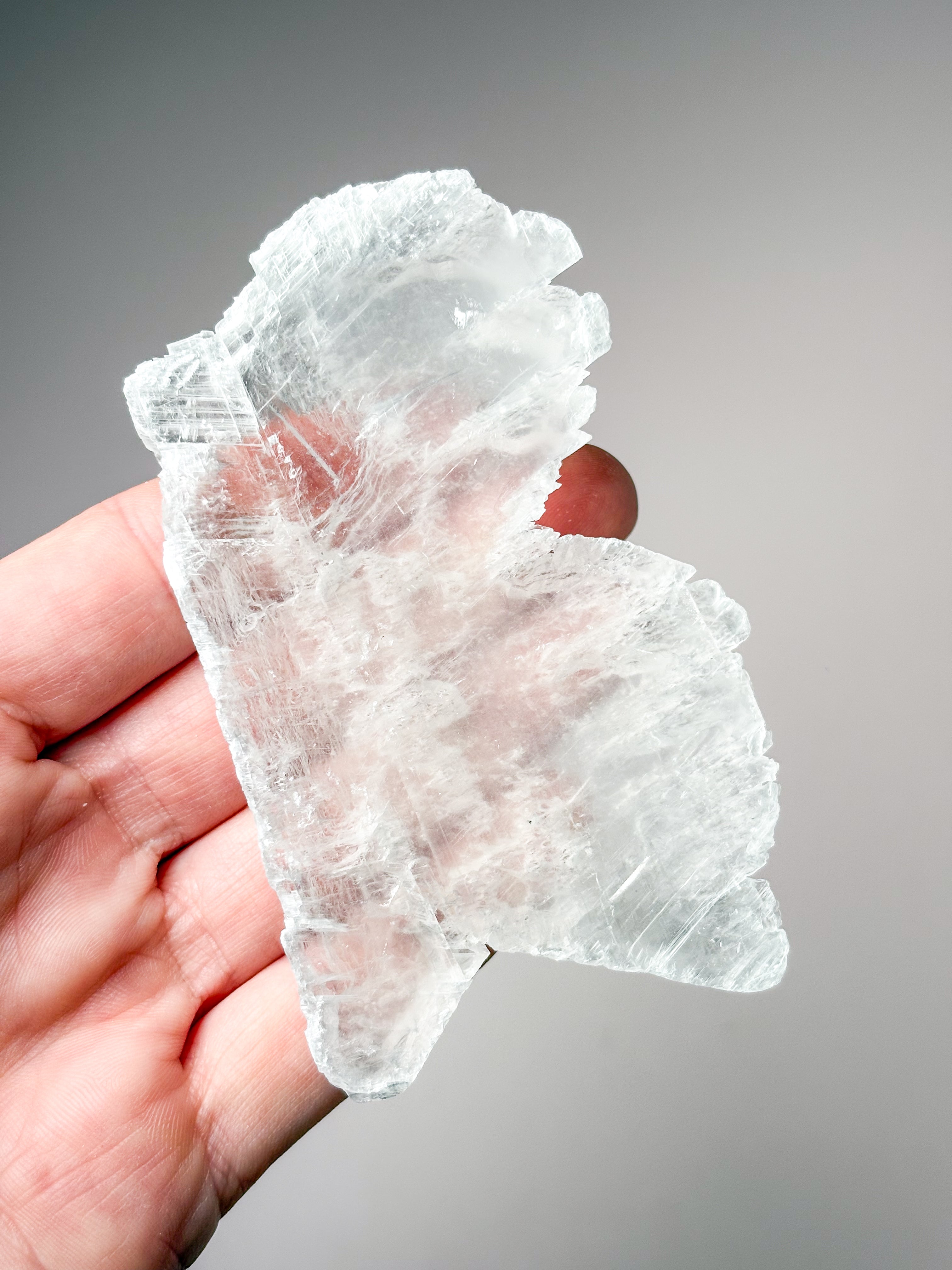 Fishtail/Angels Wing Selenite (No. 14) Exclusive Quality