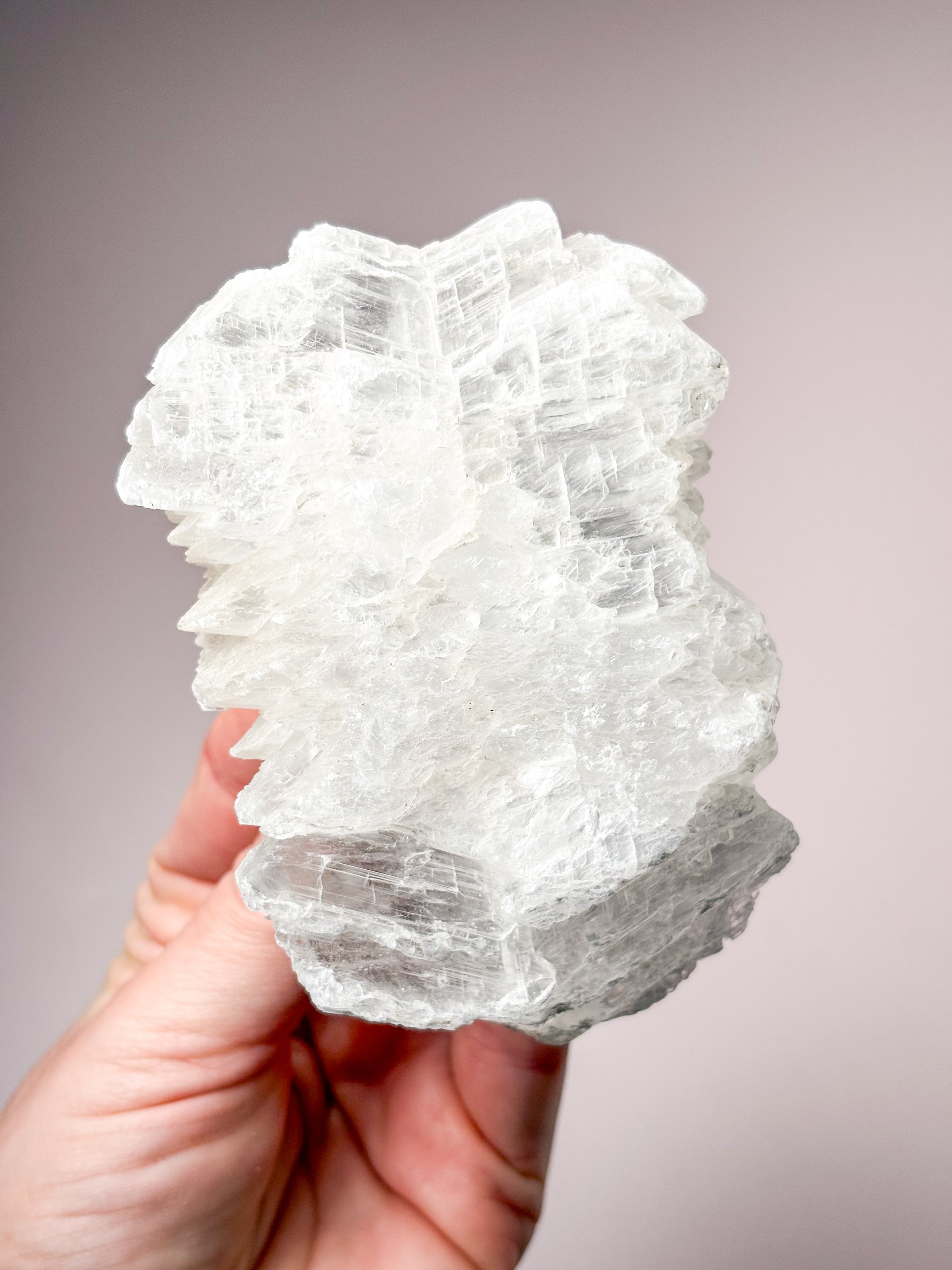 Fishtail/Angels Wing Selenit (Nr. 19) Eksklusiv Kvalitet