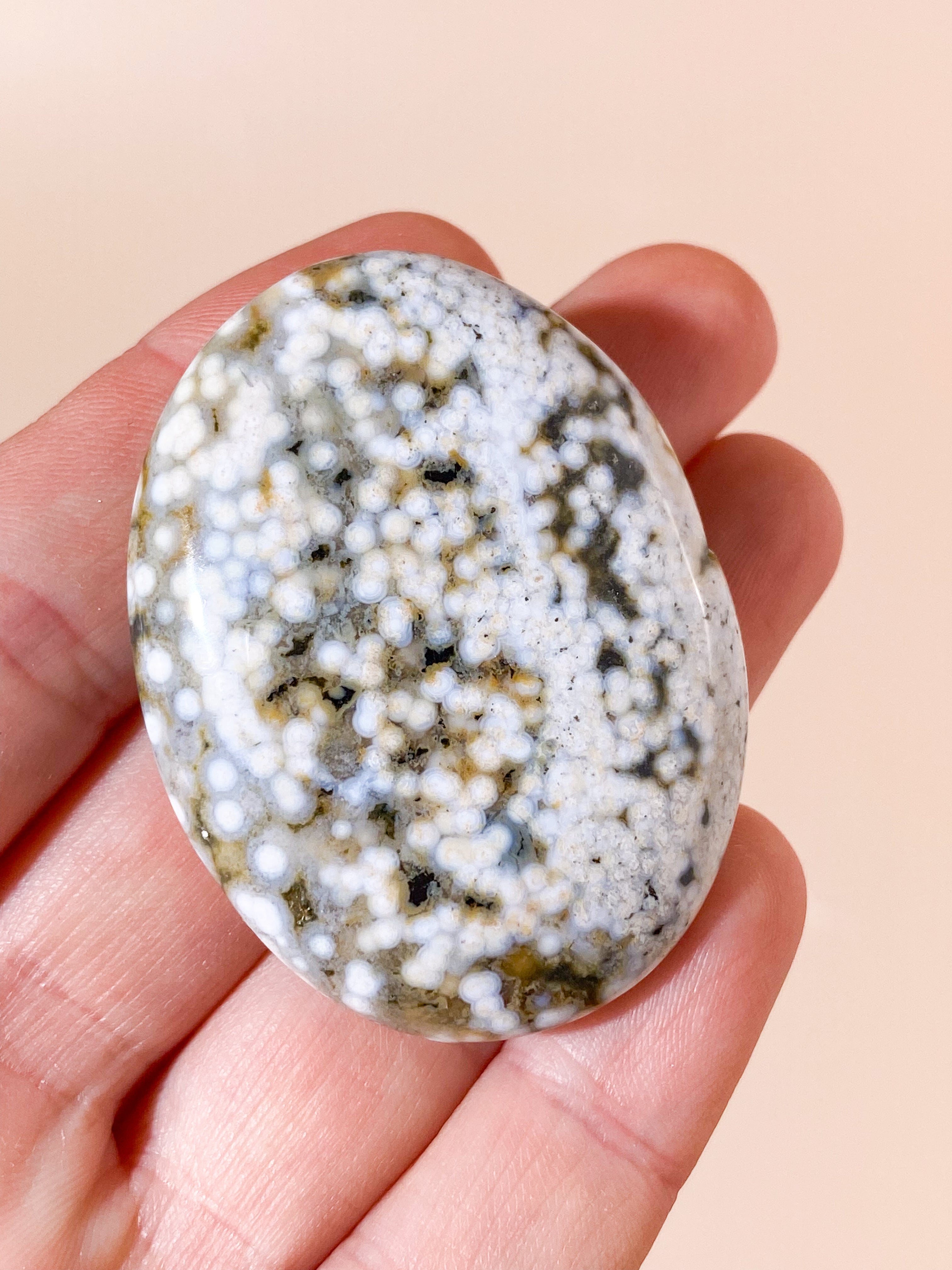 Orbicular Ocean Jaspis Palmstone (Nr. 9)