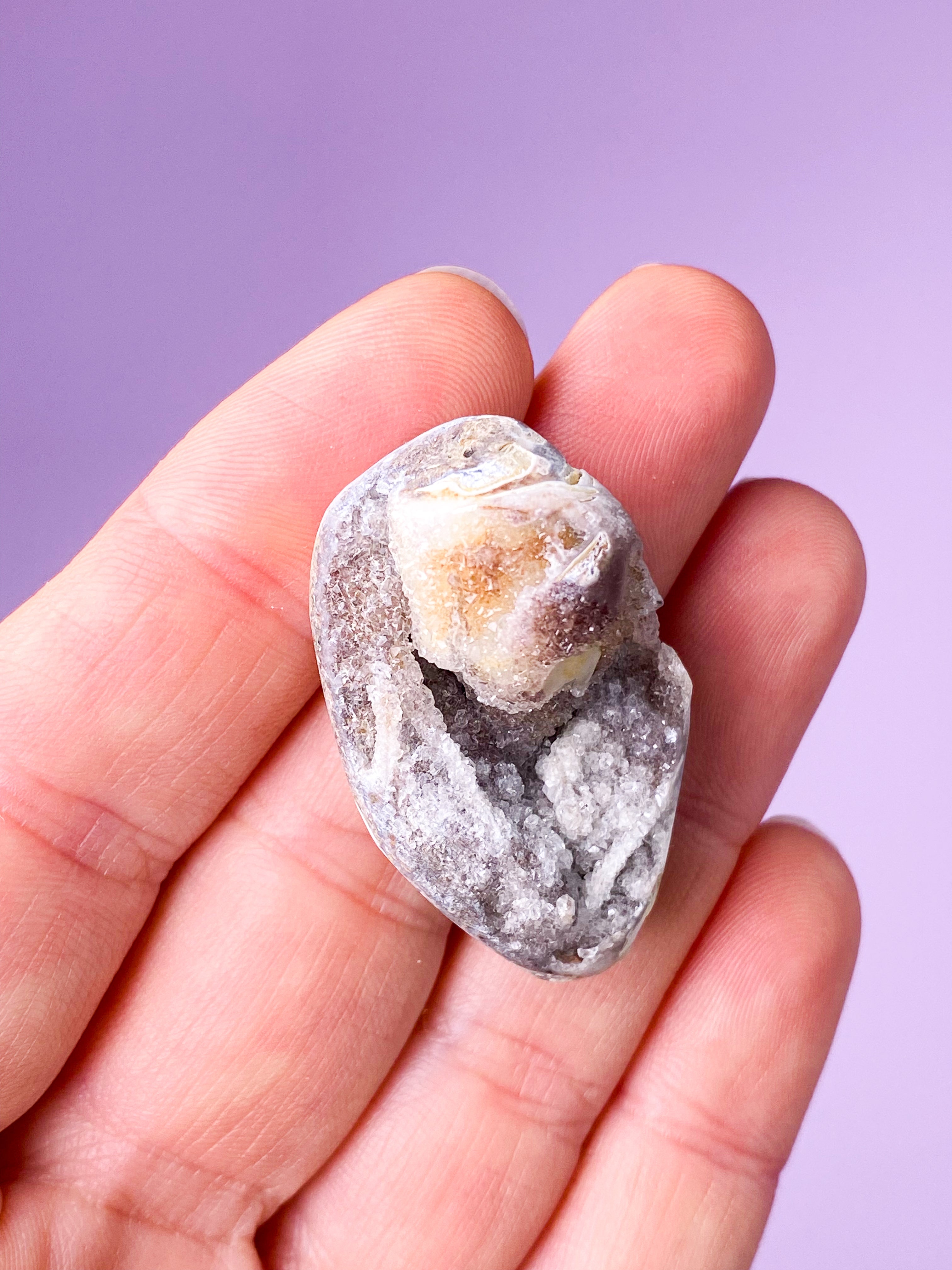 Druzy Konkylie Fossil (Nr. 5)