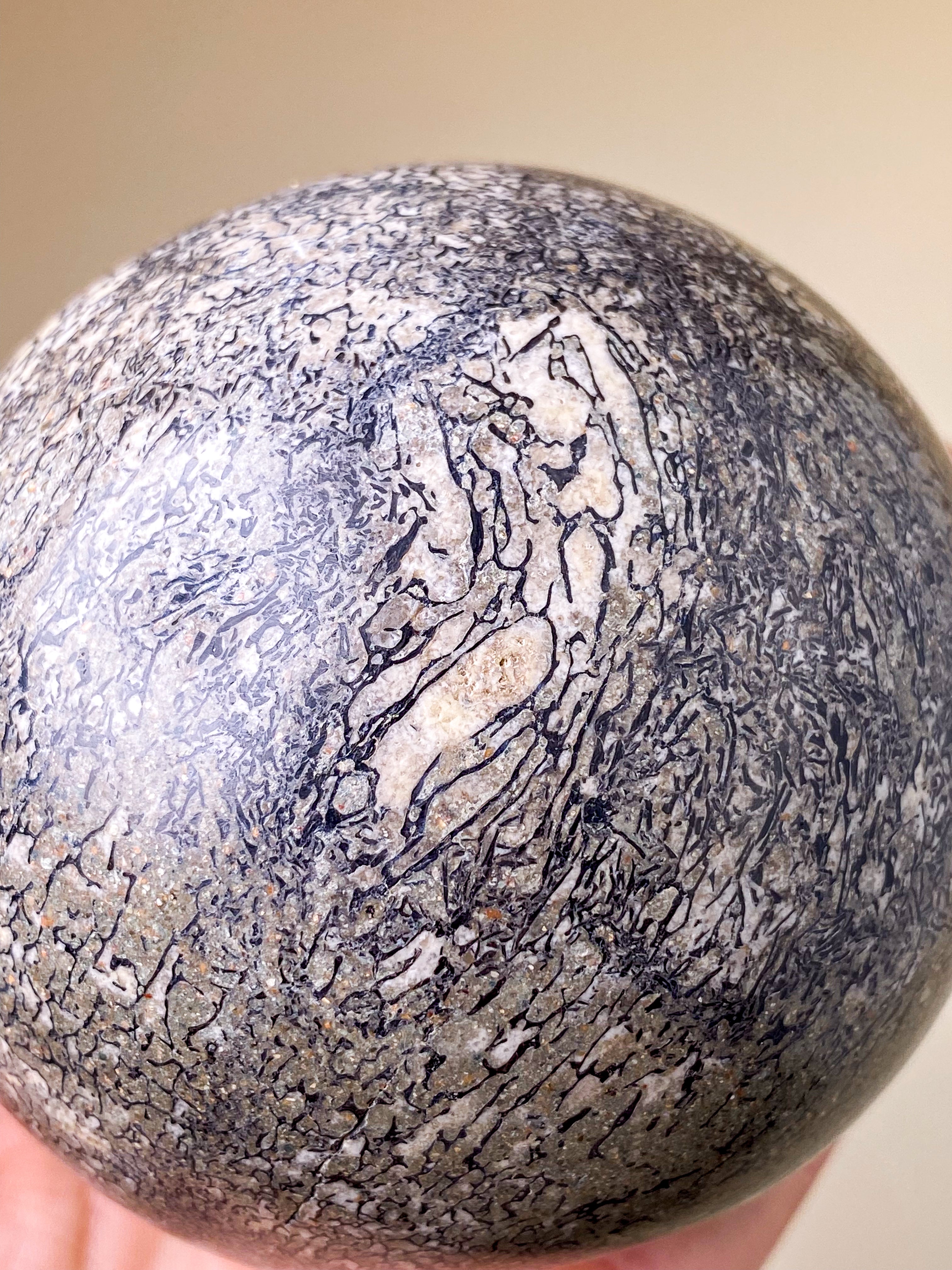 Dinosaur Bone Palmstone (No.1)