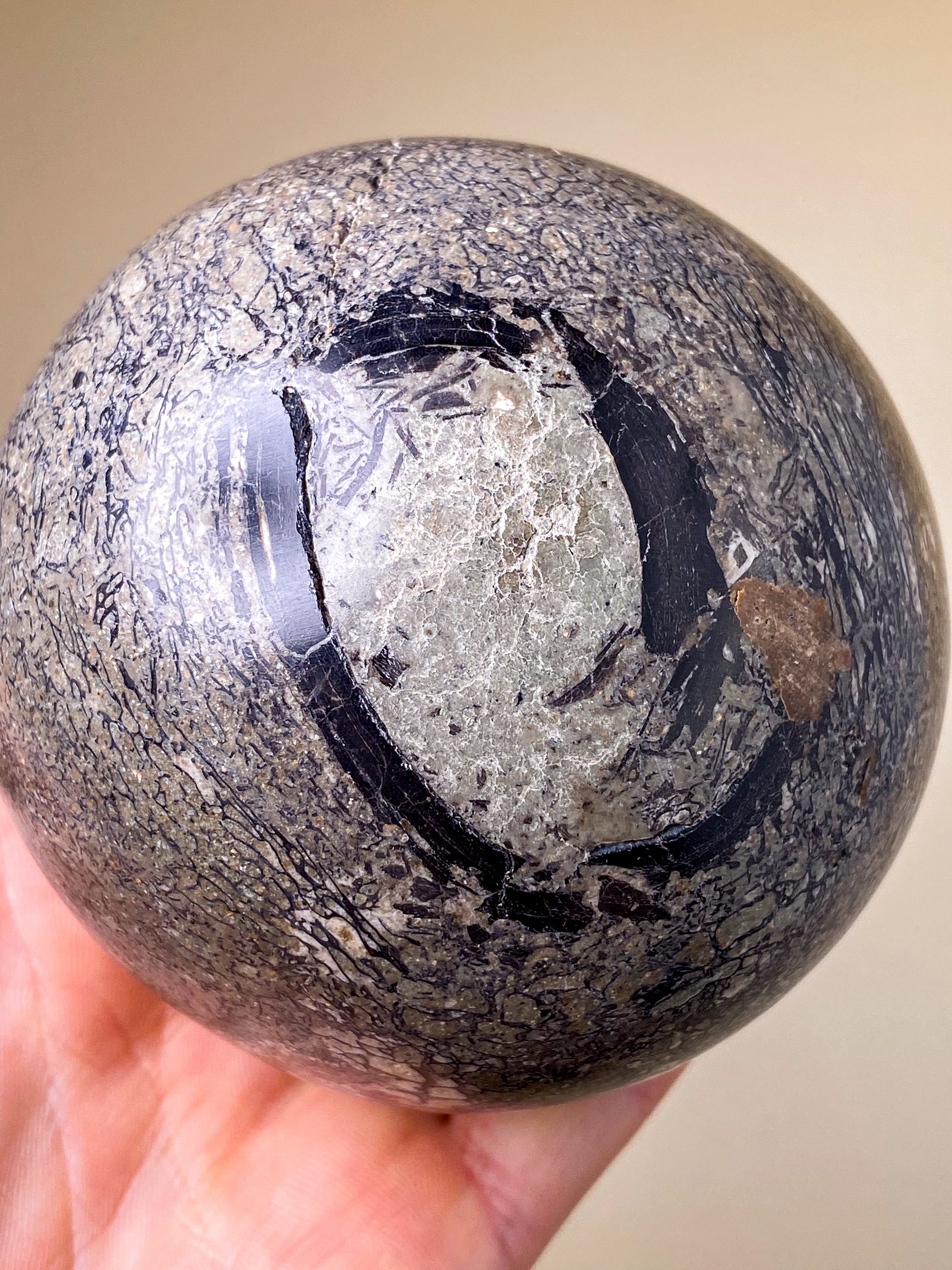 Dinosaur Bone Palmstone (No.1)