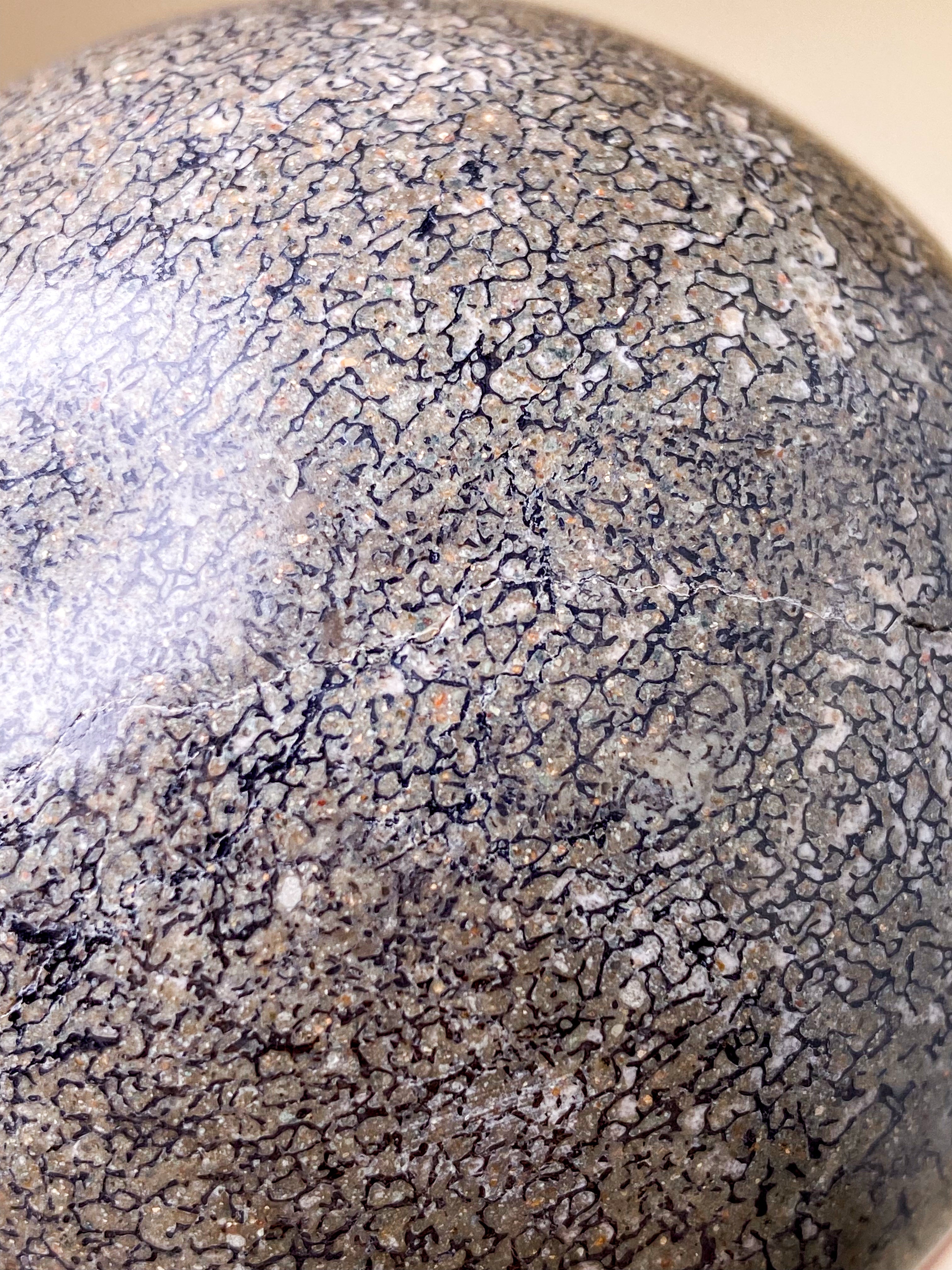 Dinosaur Bone Palmstone (No.1)