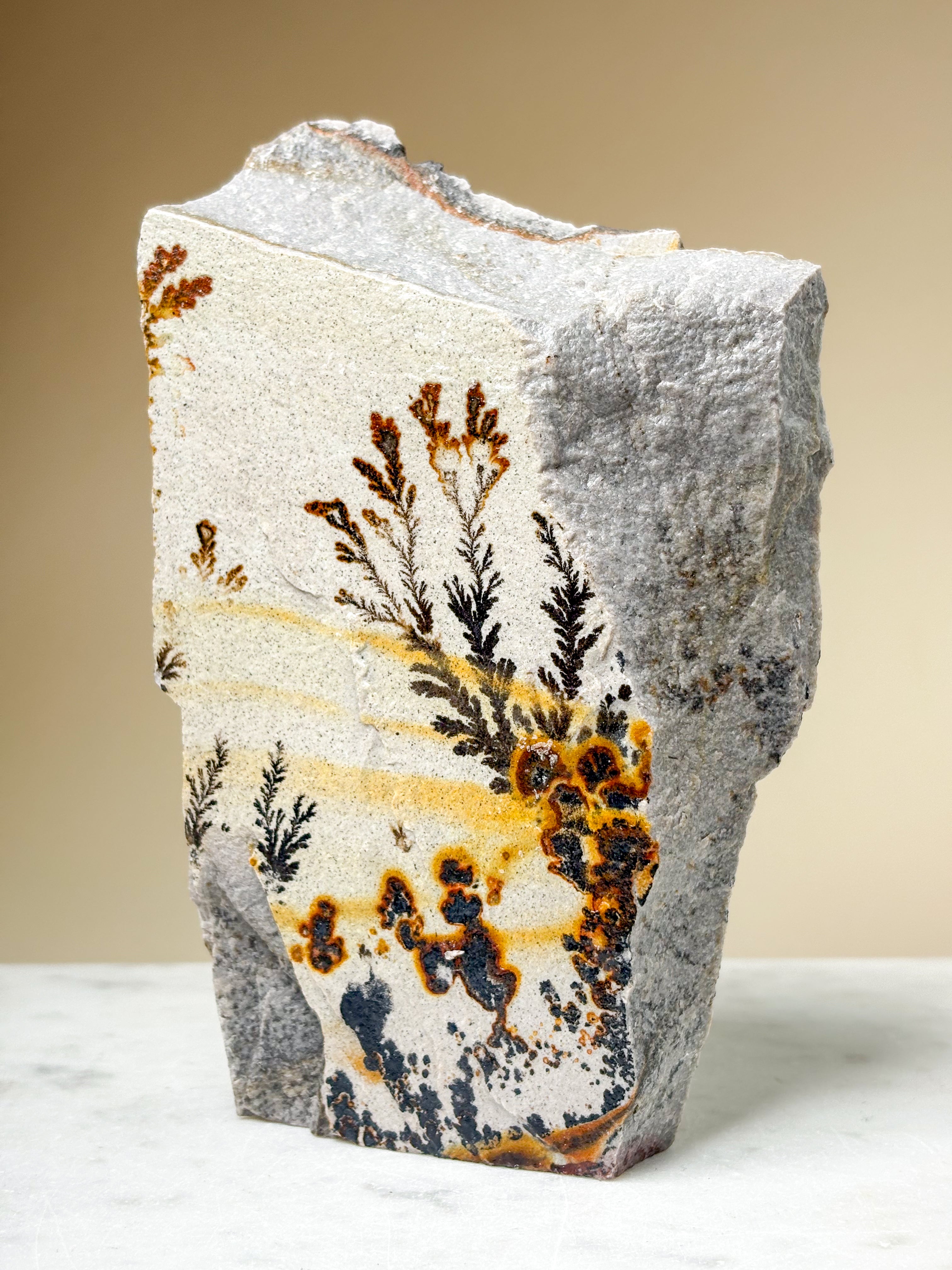 Utah Dendrite Standing (No. 7)