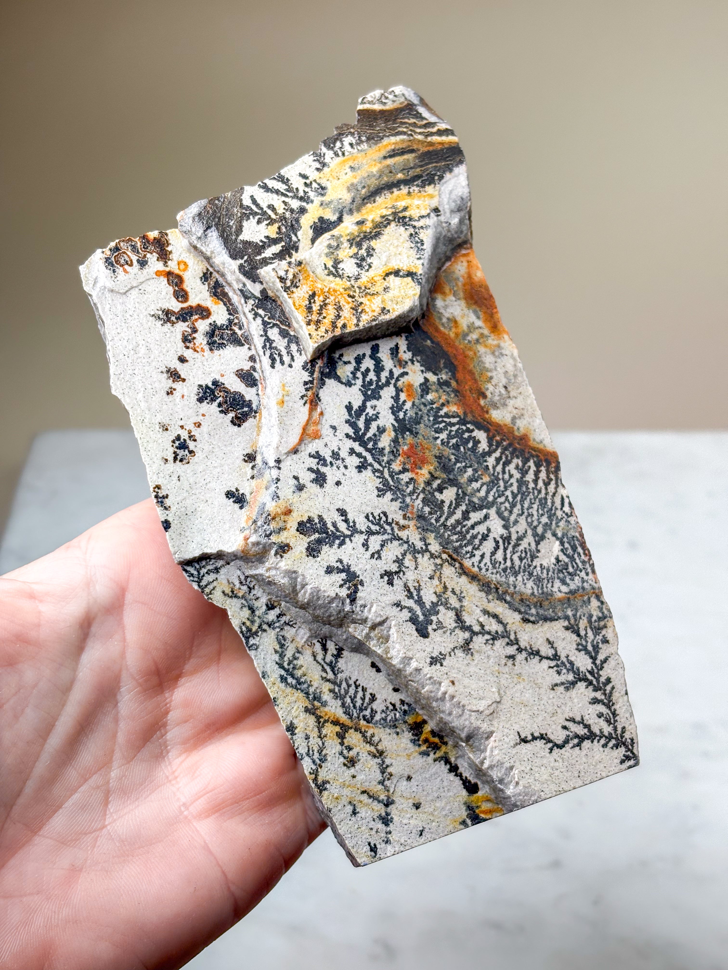 Utah Dendrite Standing (No. 7)