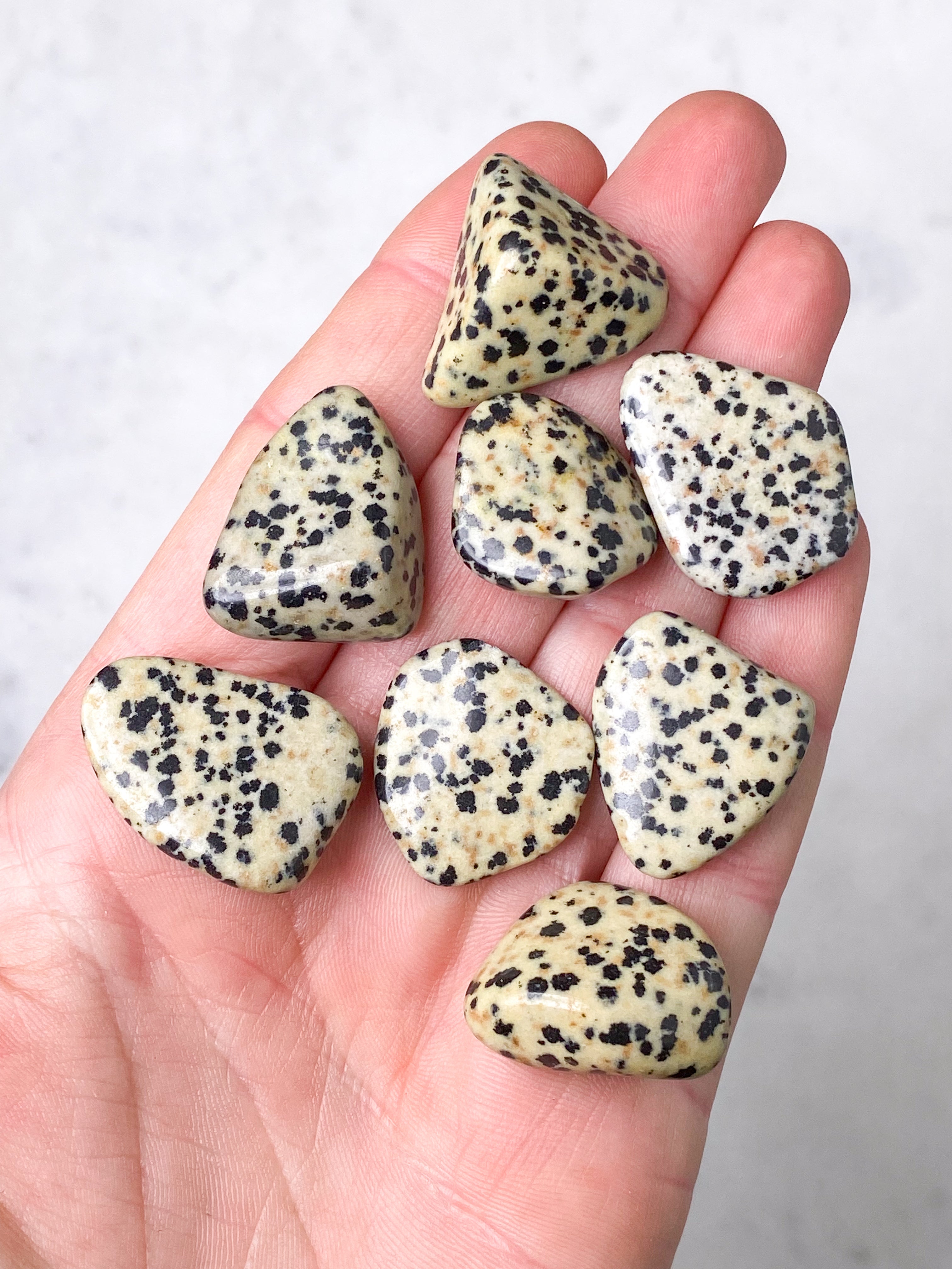 Dalmatian Jasper Pocket Stone