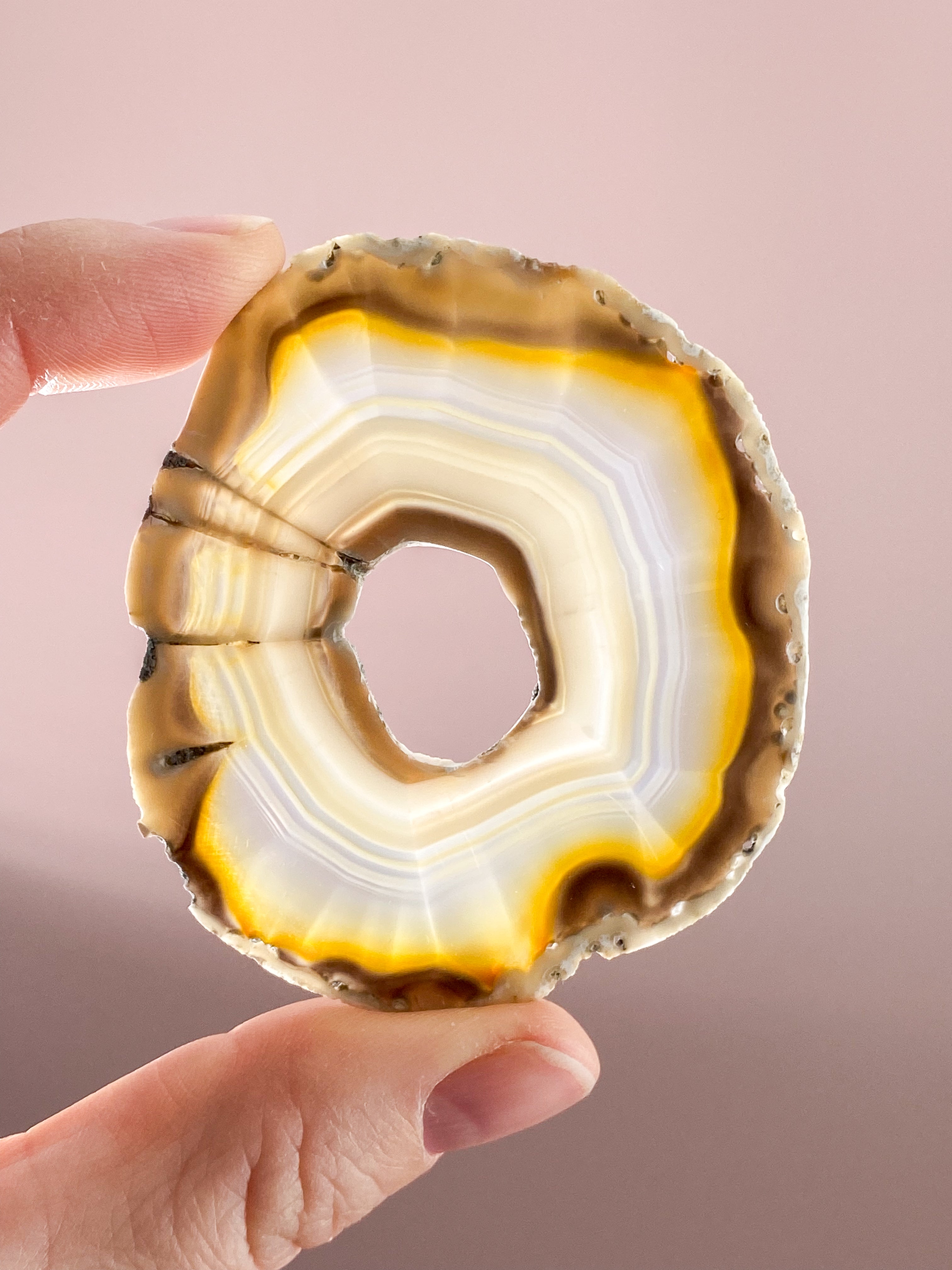 Iris Agatskiva (nr 41)