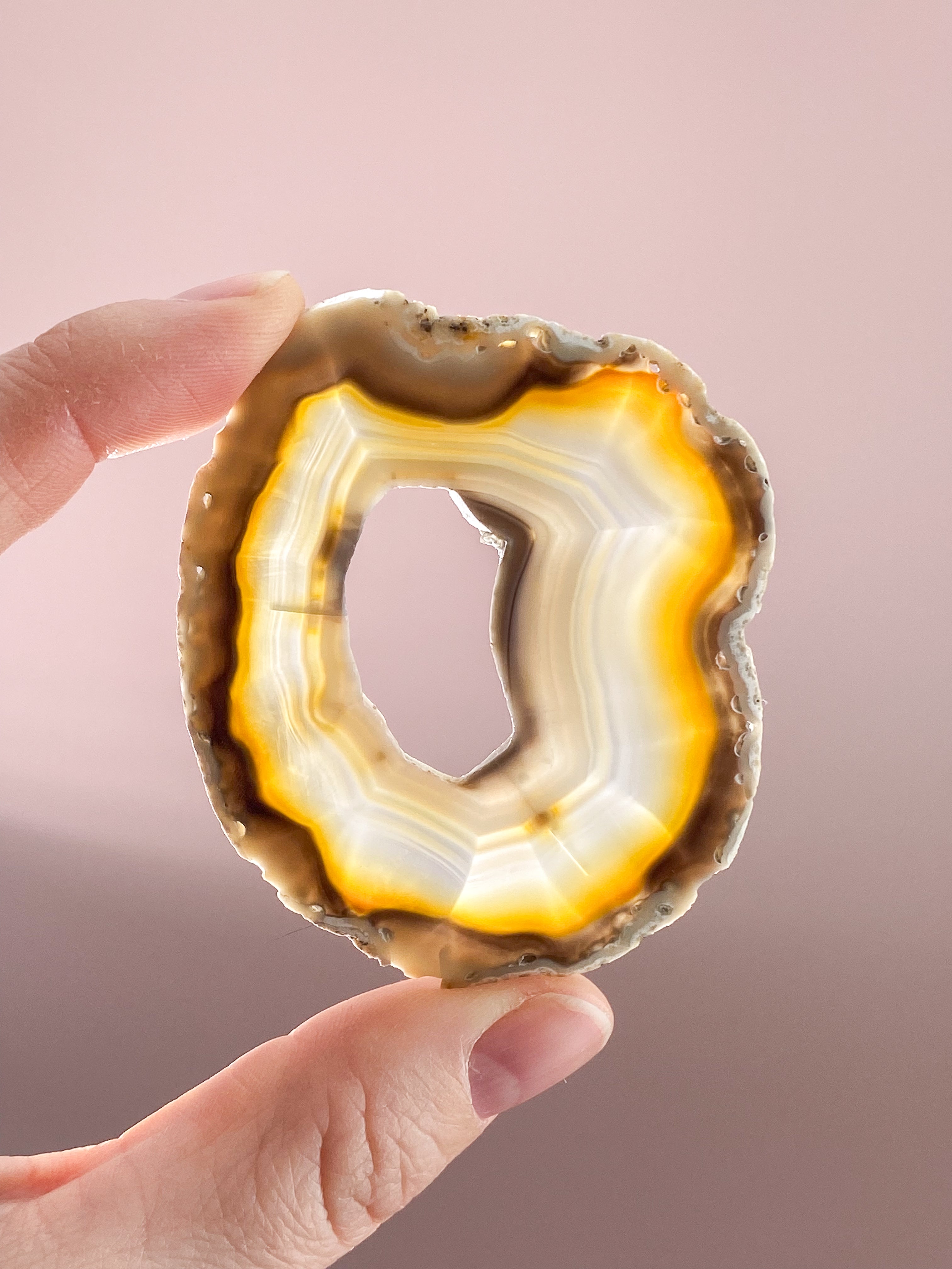 Iris Agatskiva (nr 42)