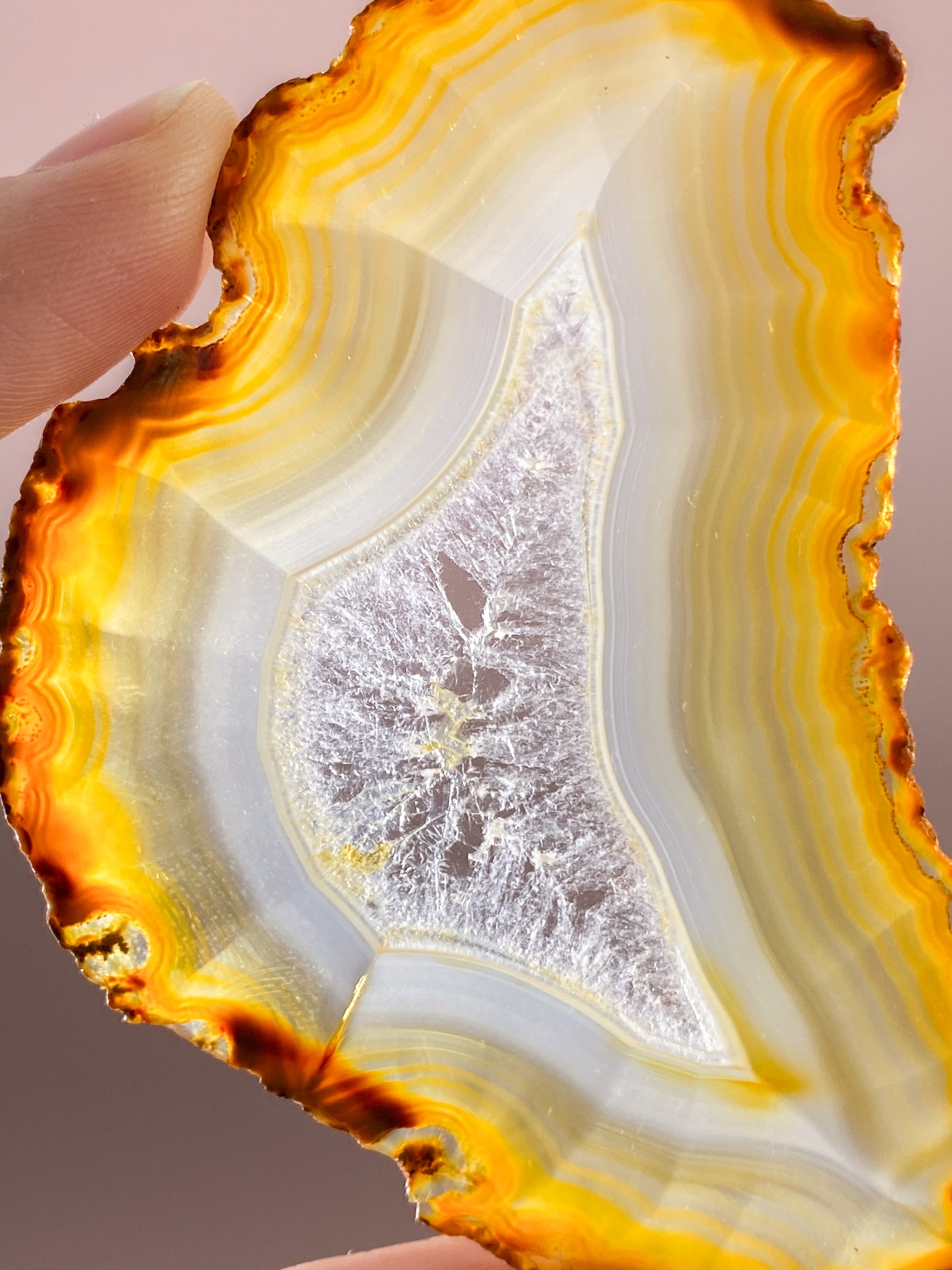 Iris Agatskiva (nr 47)