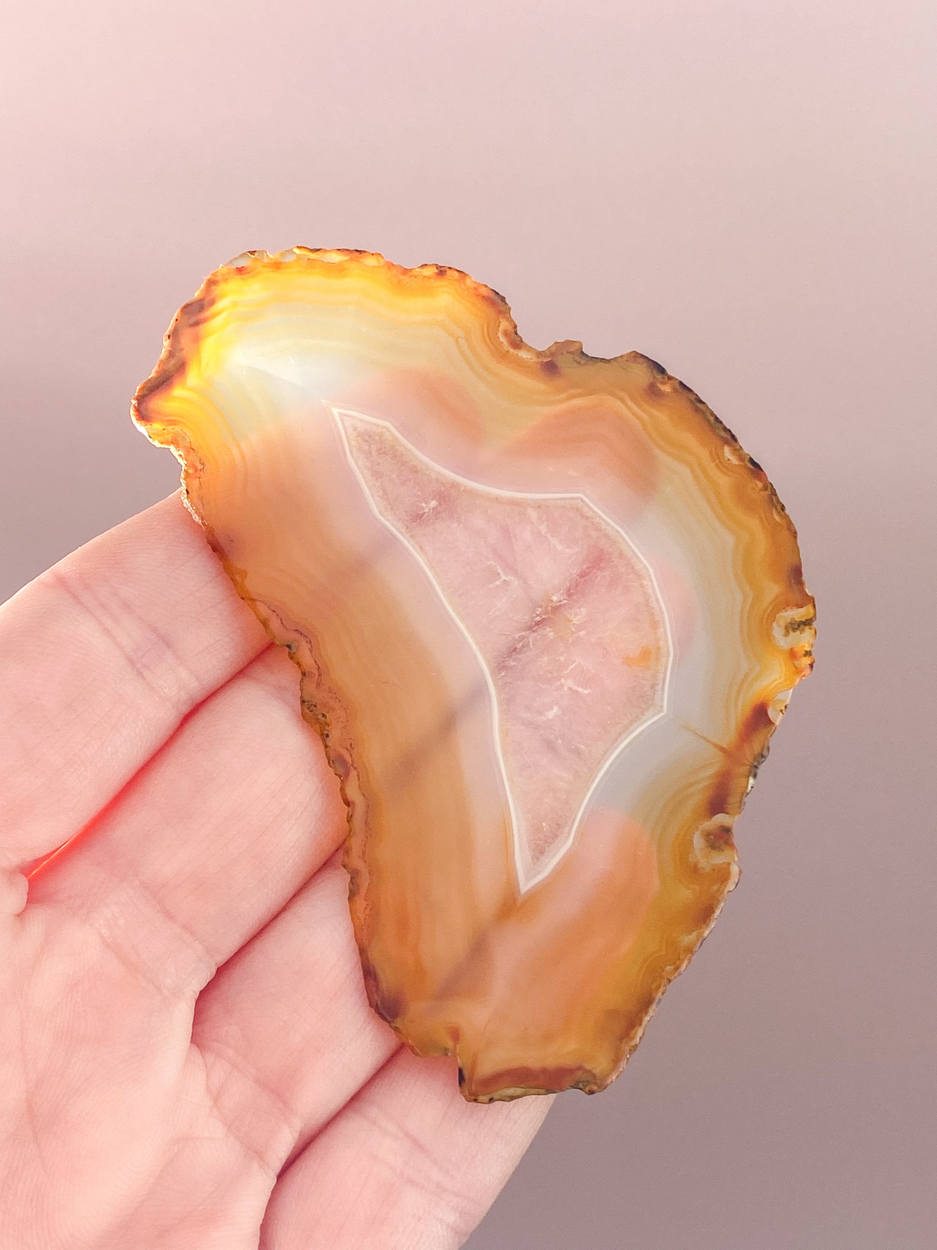 Iris Agatskiva (nr 47)