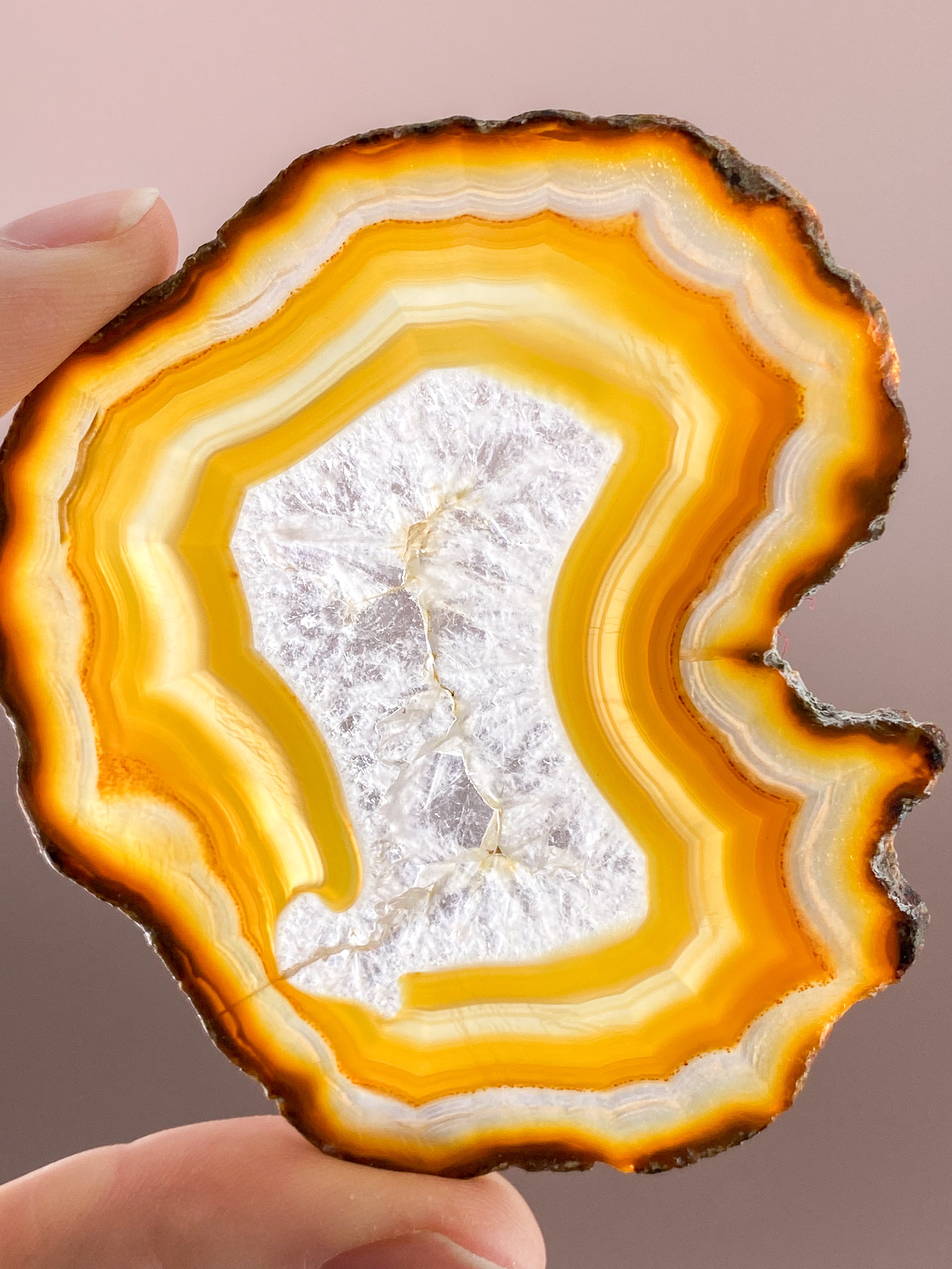 Iris Agatskiva (nr 56)