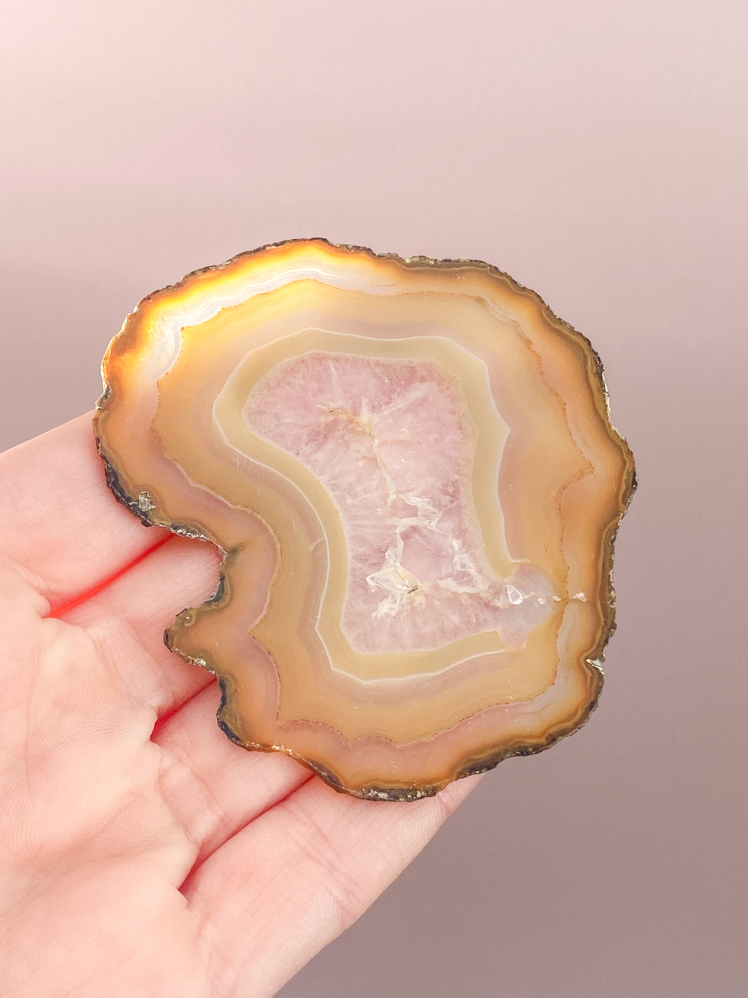 Iris Agatskiva (nr 56)