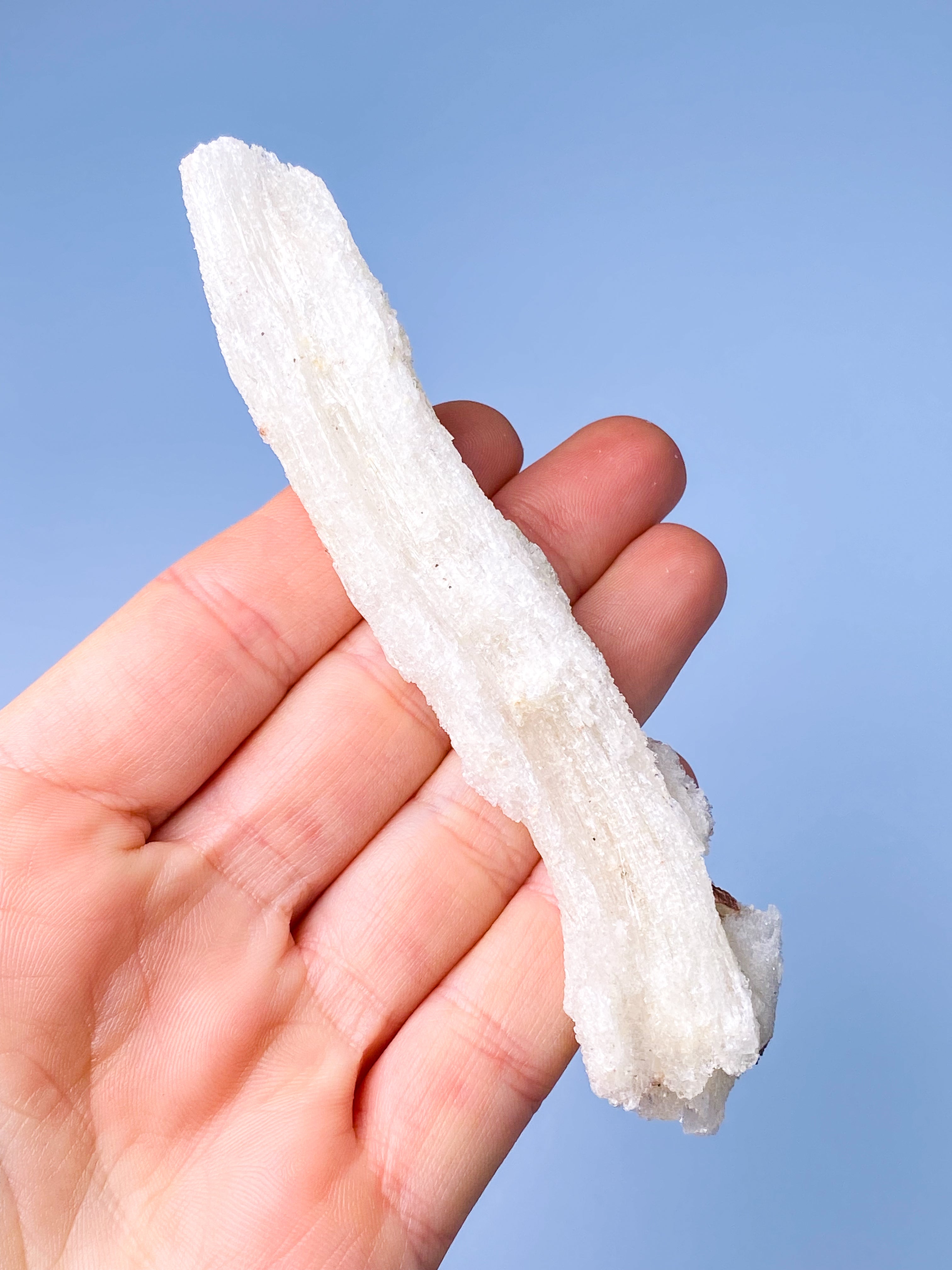 Rams Horn Selenit (Nr. 5) Eksklusiv Kvalitet