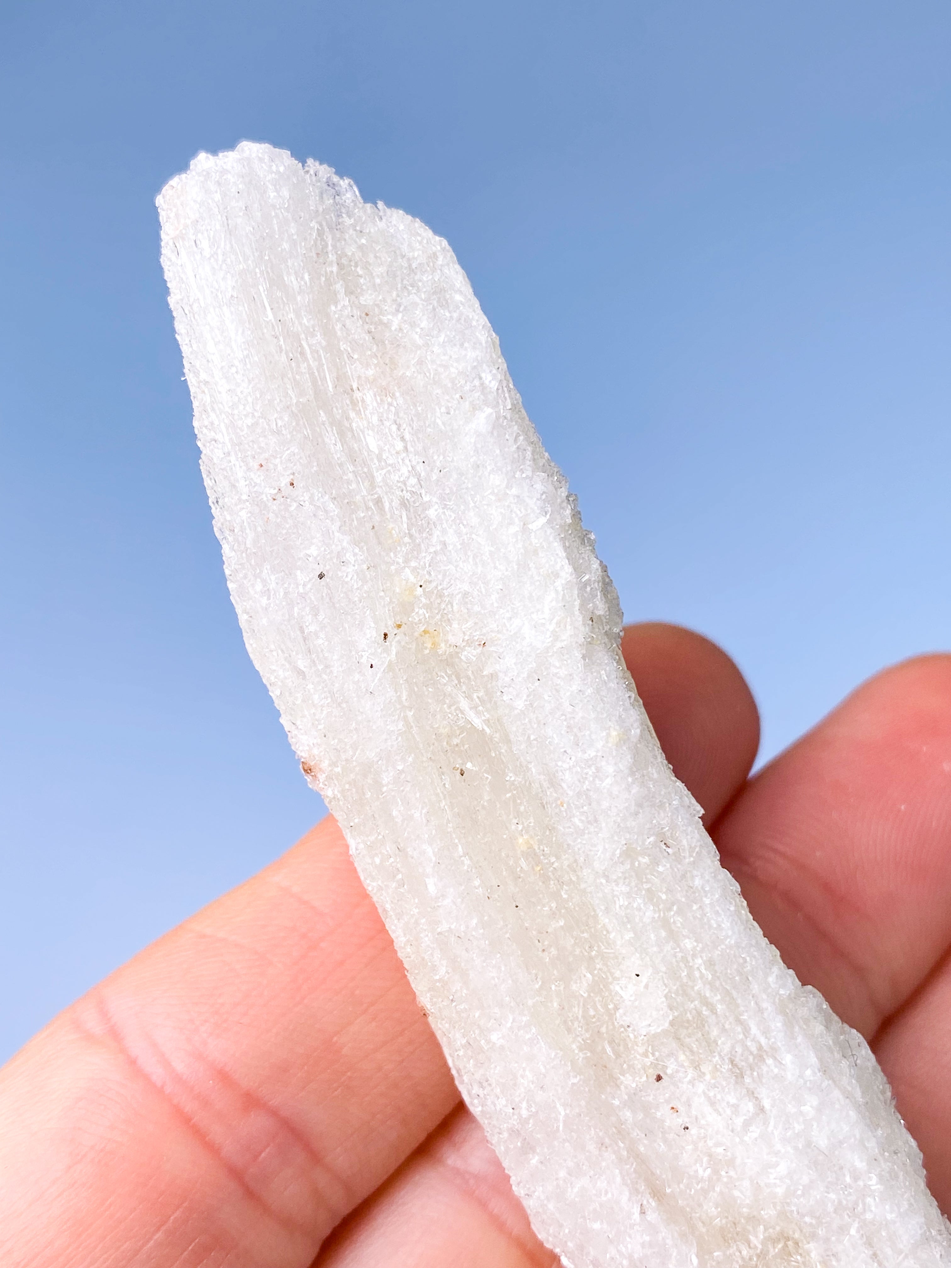 Rams Horn Selenit (Nr. 5) Eksklusiv Kvalitet