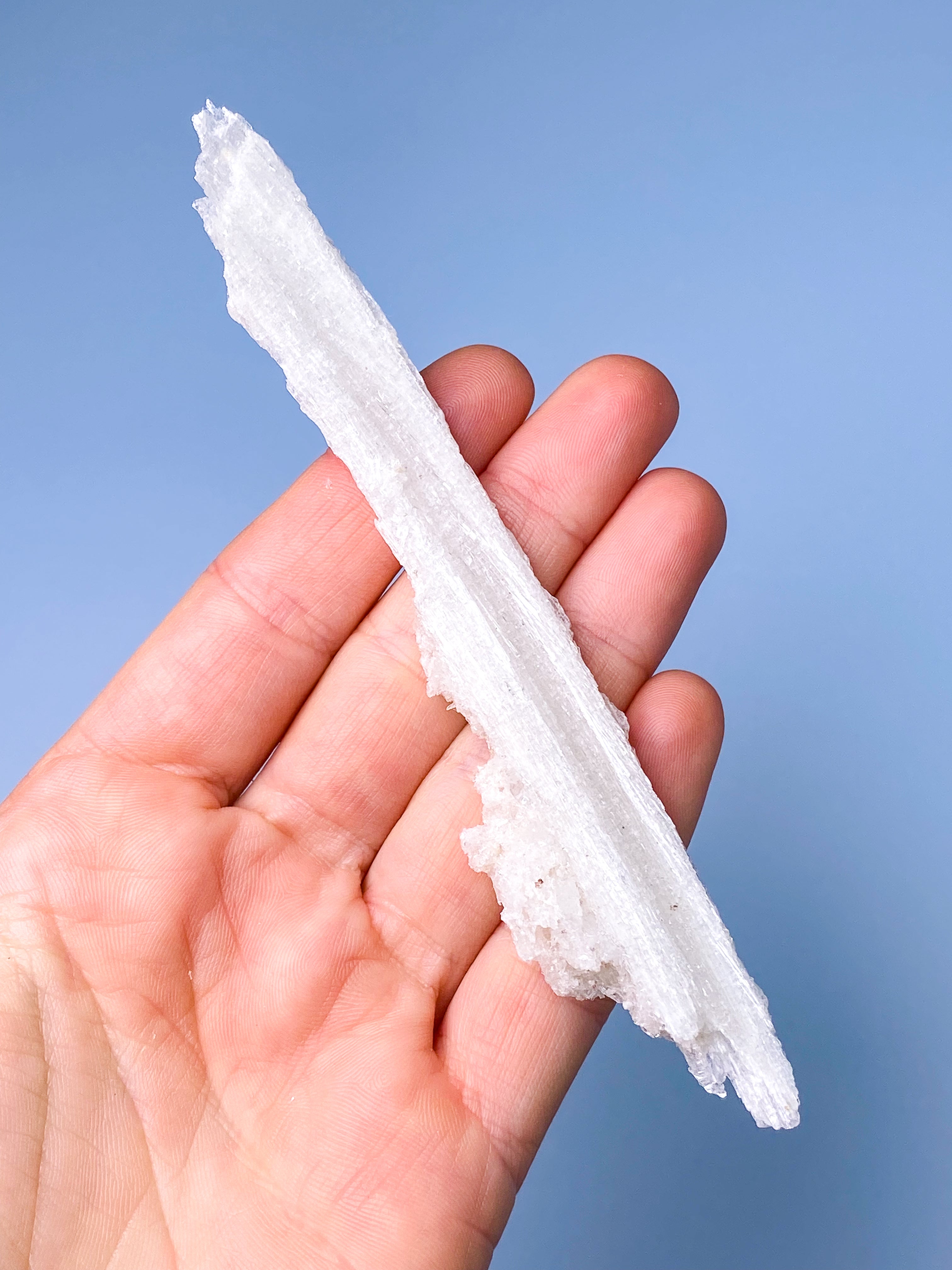 Rams Horn Selenit (Nr. 6) Eksklusiv Kvalitet