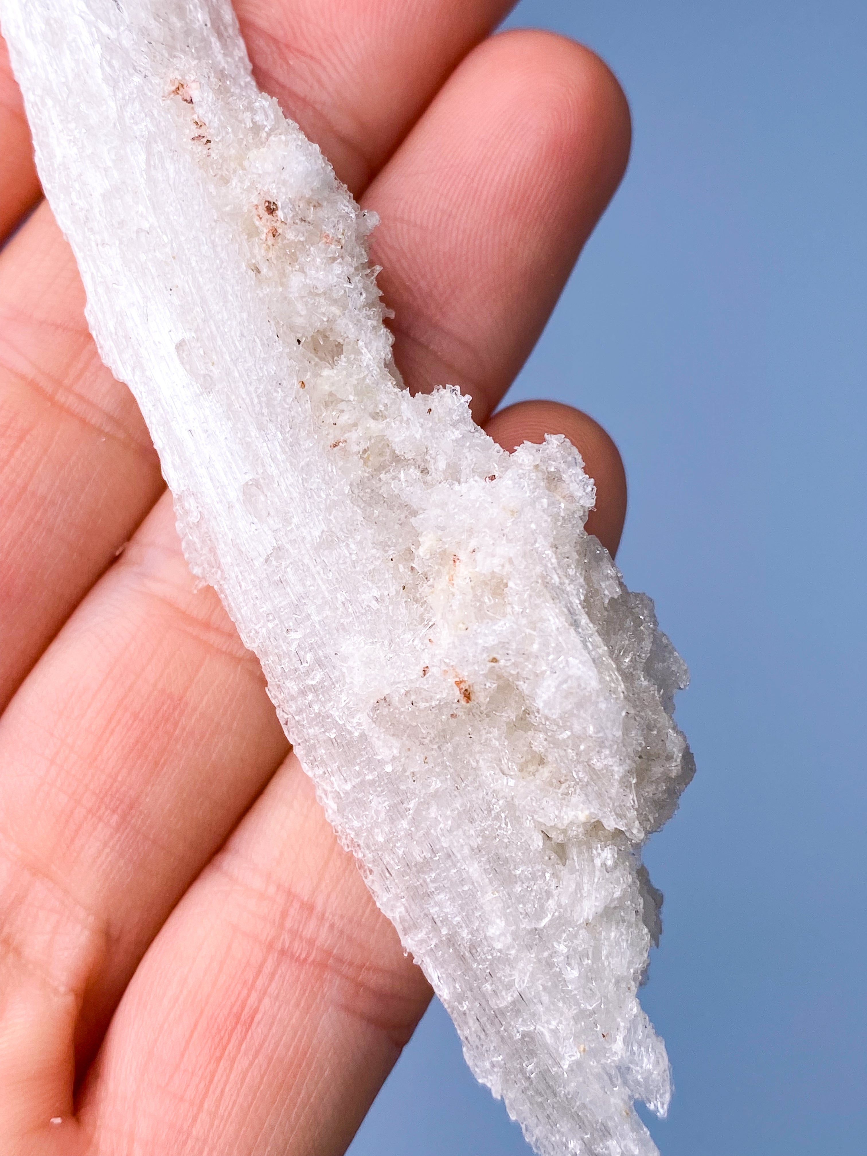 Rams Horn Selenit (Nr. 6) Eksklusiv Kvalitet